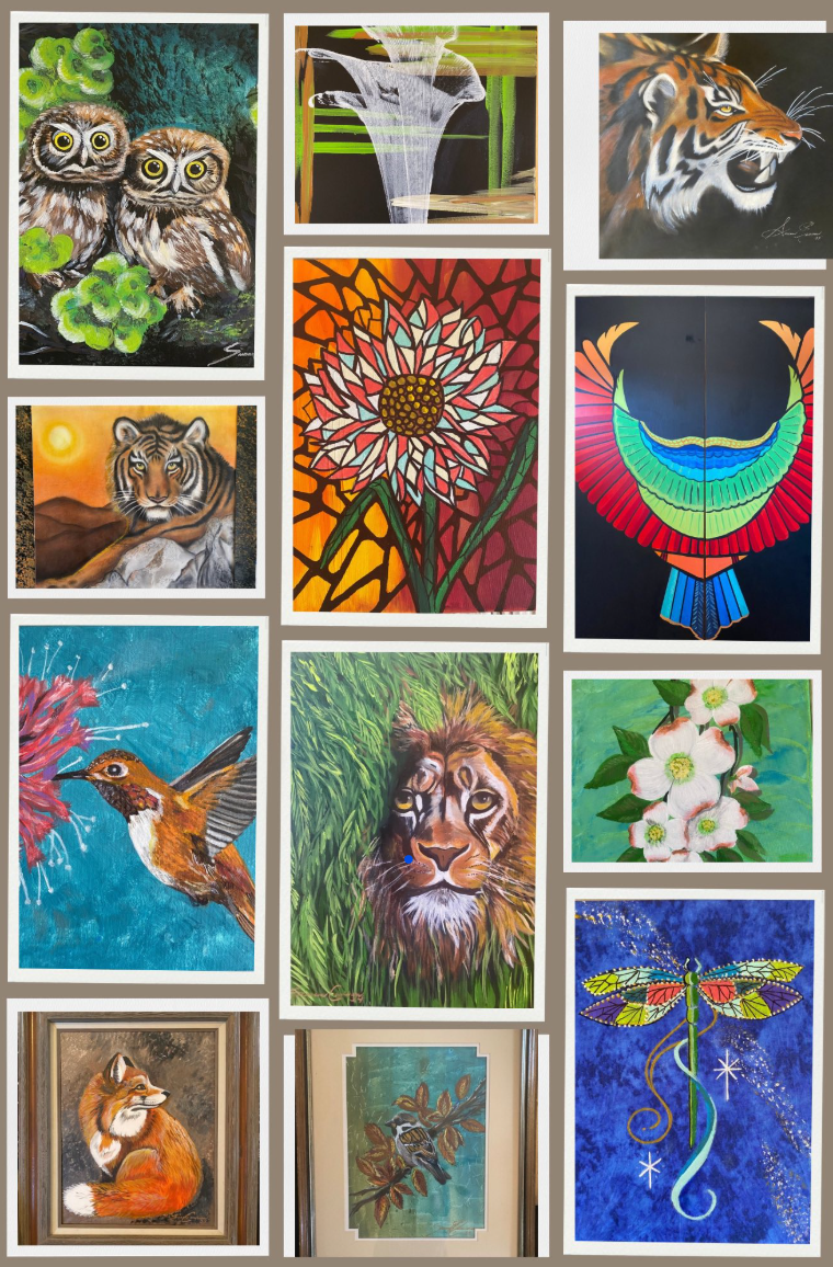 Friends of the Arts General Meeting - Special Guest Artist Susan Cameron