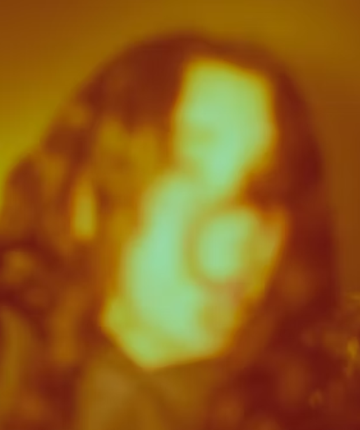 SparkFest Presents: Doors Closing