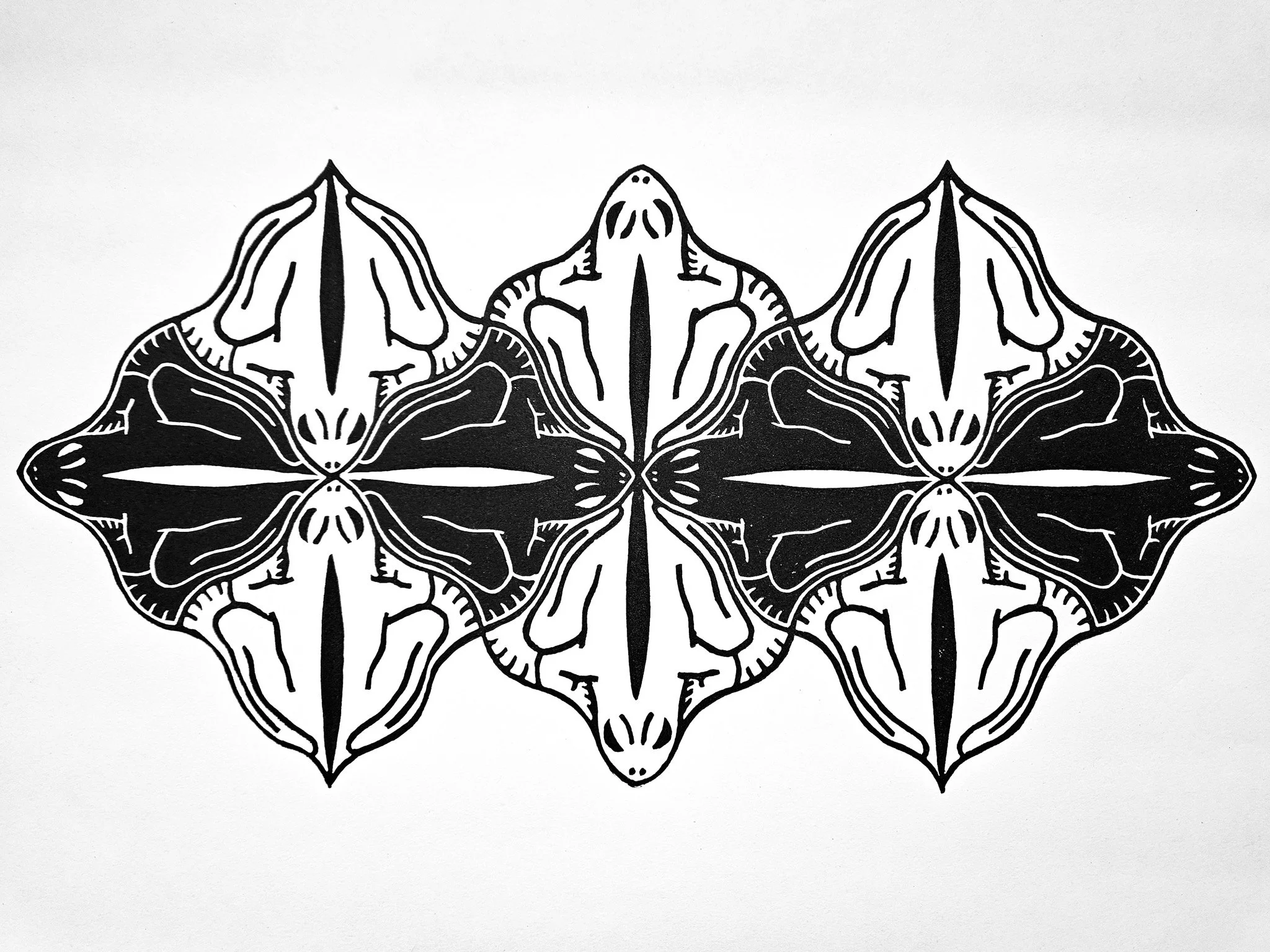 20250606_143513.jpg