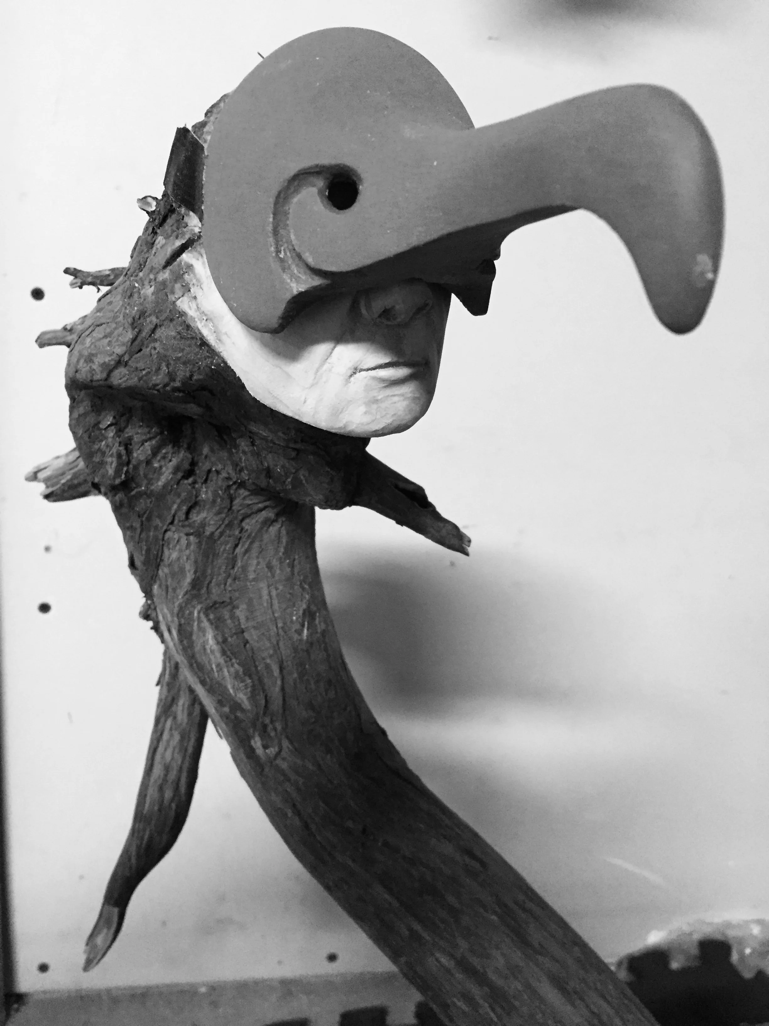 Man turns Cormorant.jpeg