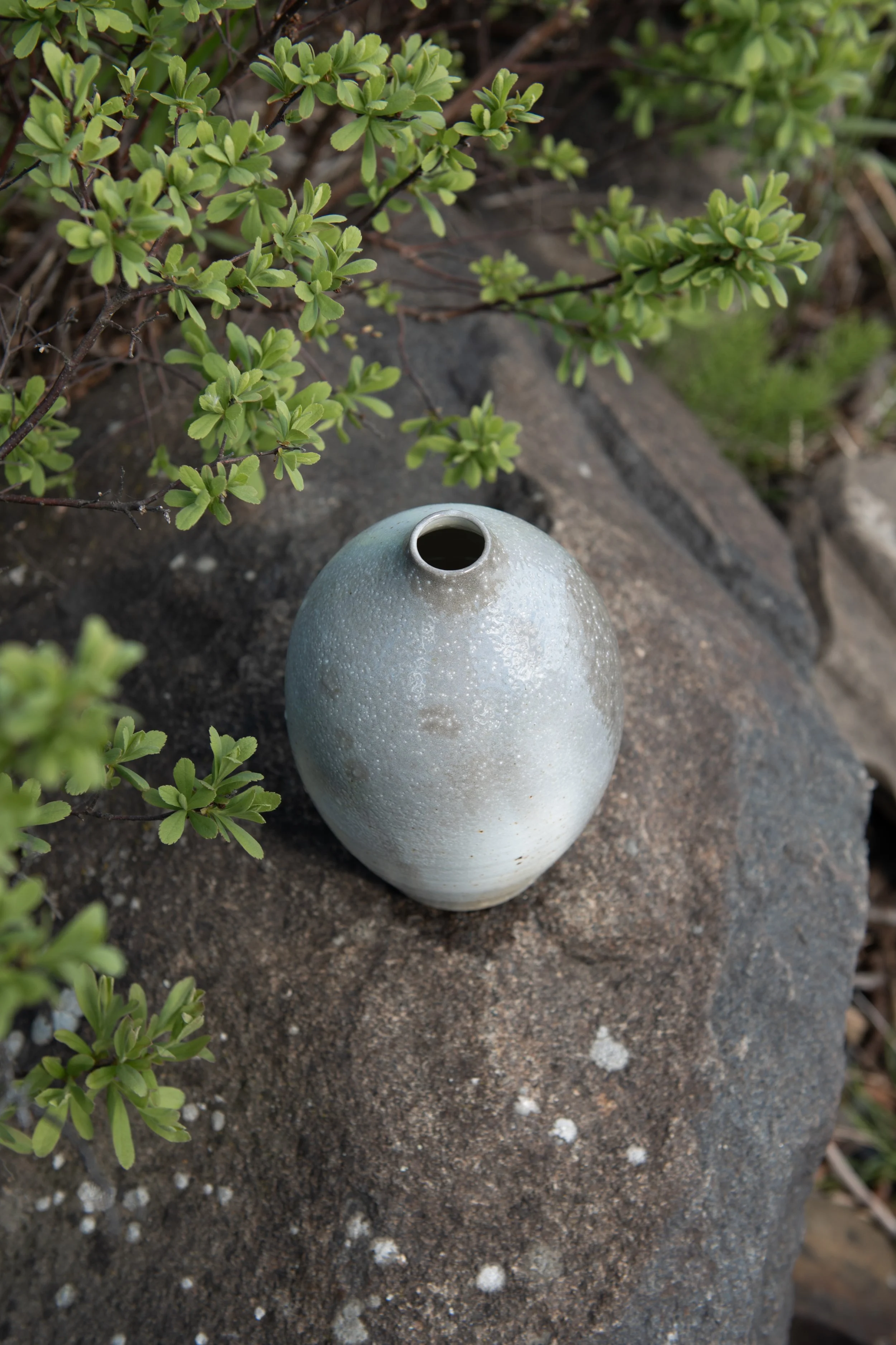 Earth Tones-7.jpg