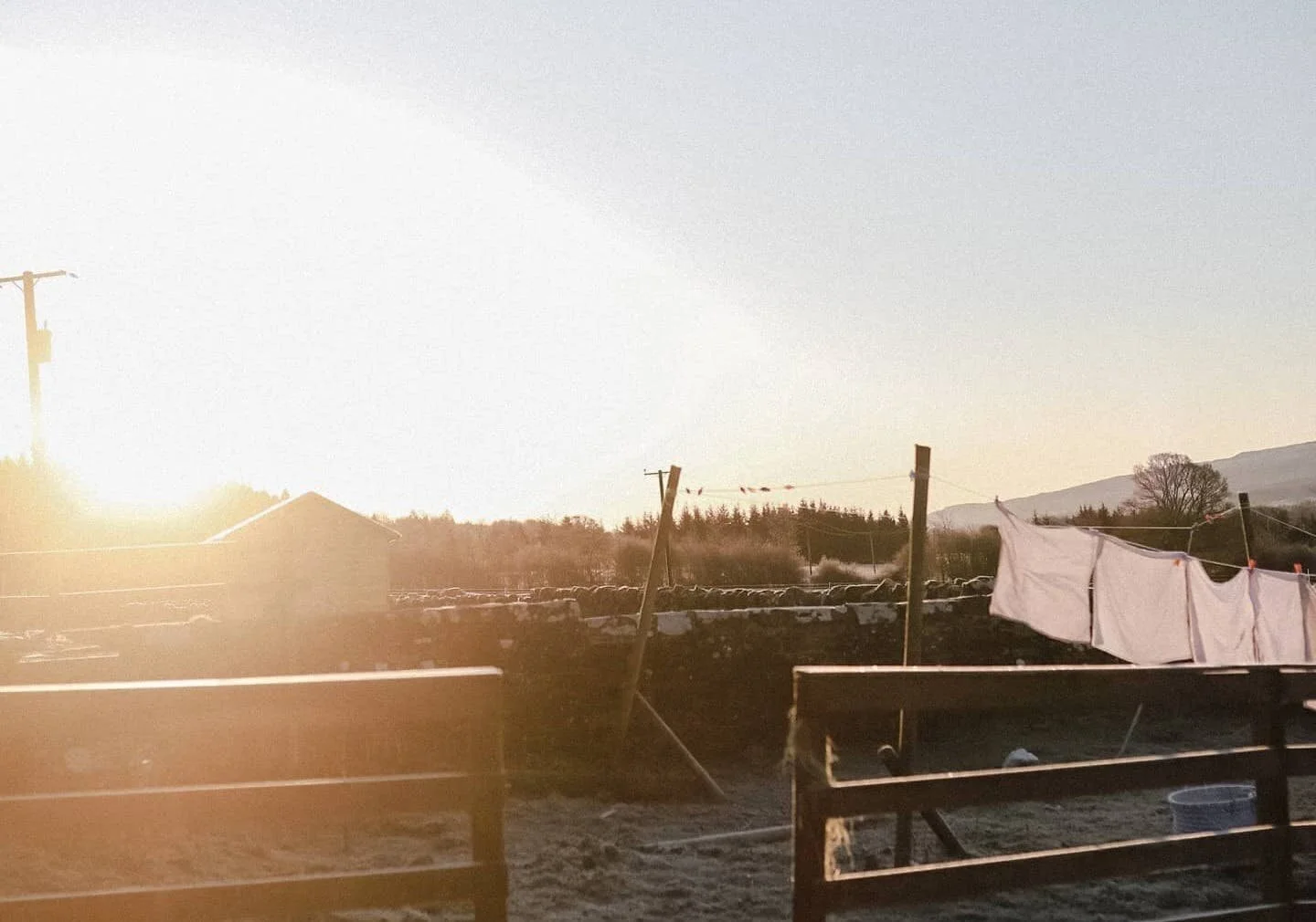 Coming Back to Gartur