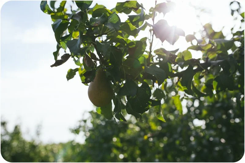 The Week Behind and Ahead