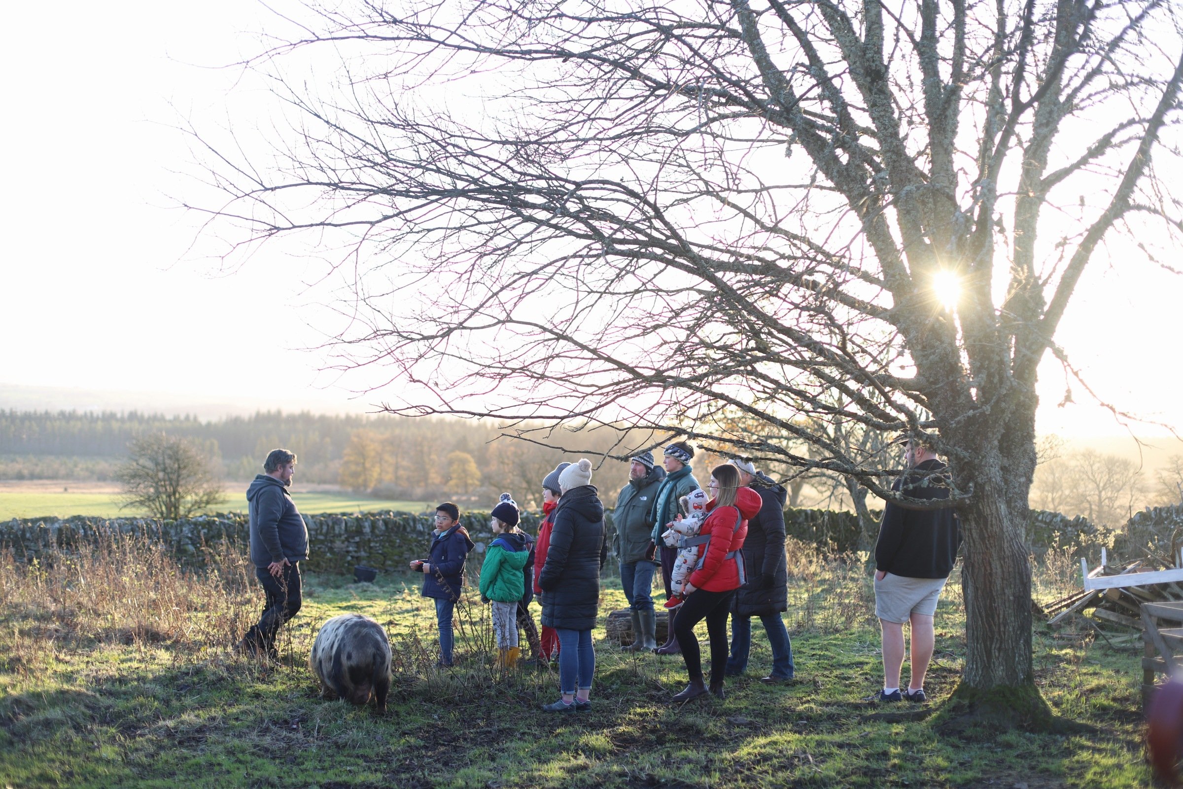 Buying a makealong or Event as a Gift