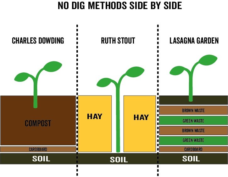 Choosing Your No-Dig Gardening Adventure — Gartur Stitch Farm