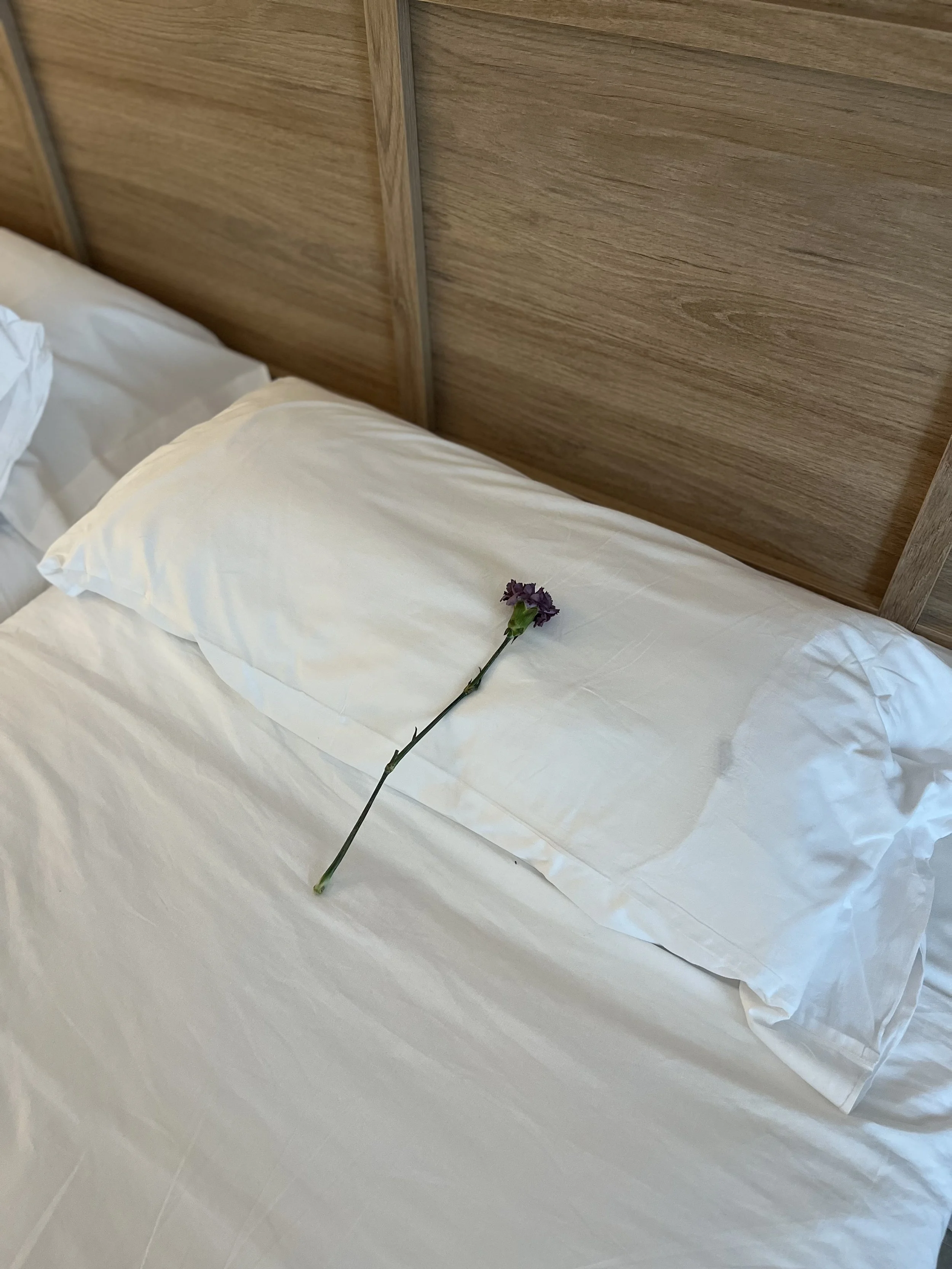 The Curated Morning Routine: How to Create a Morning Routine That Will Stick