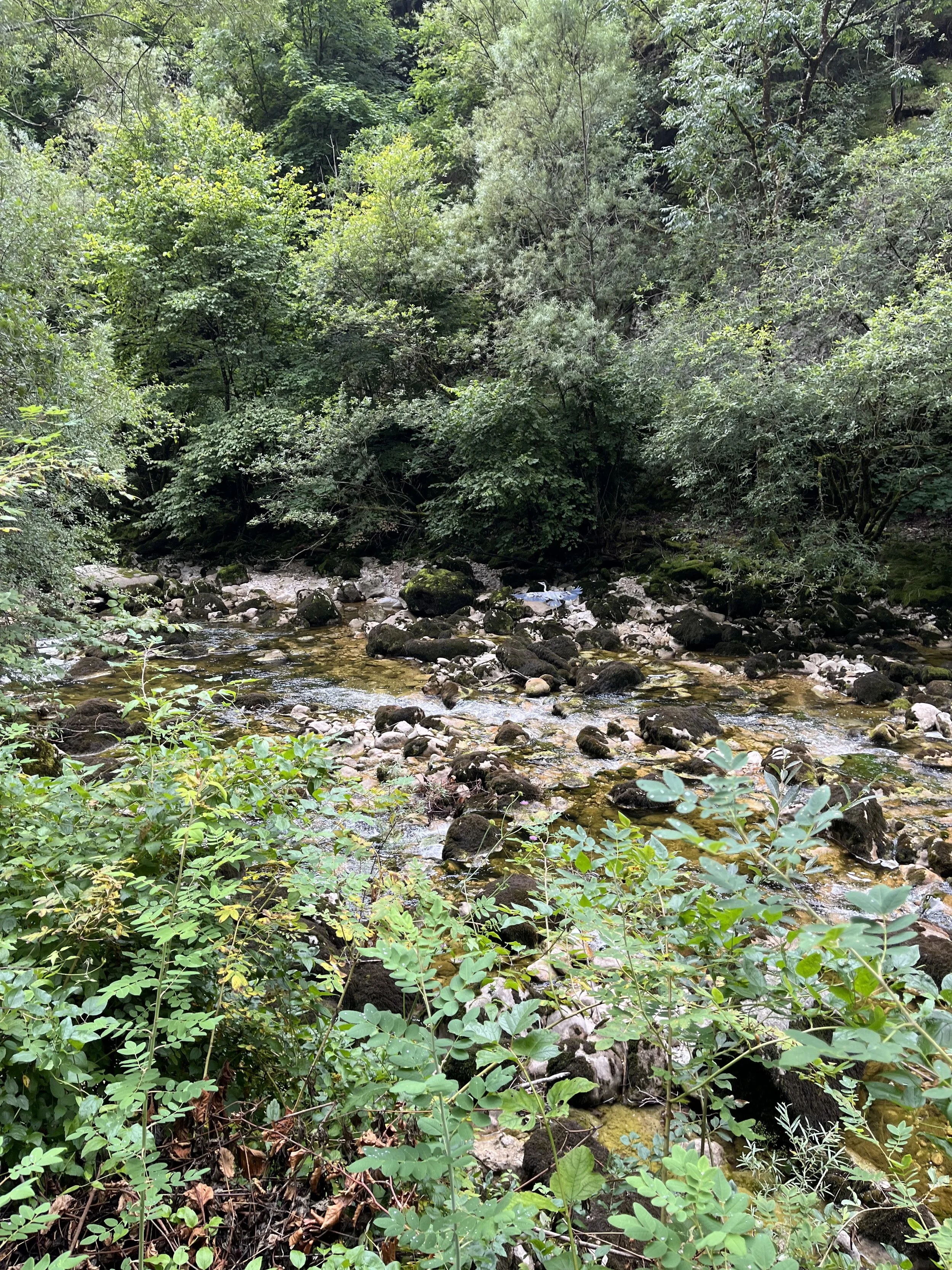 IMG_0173.jpeg