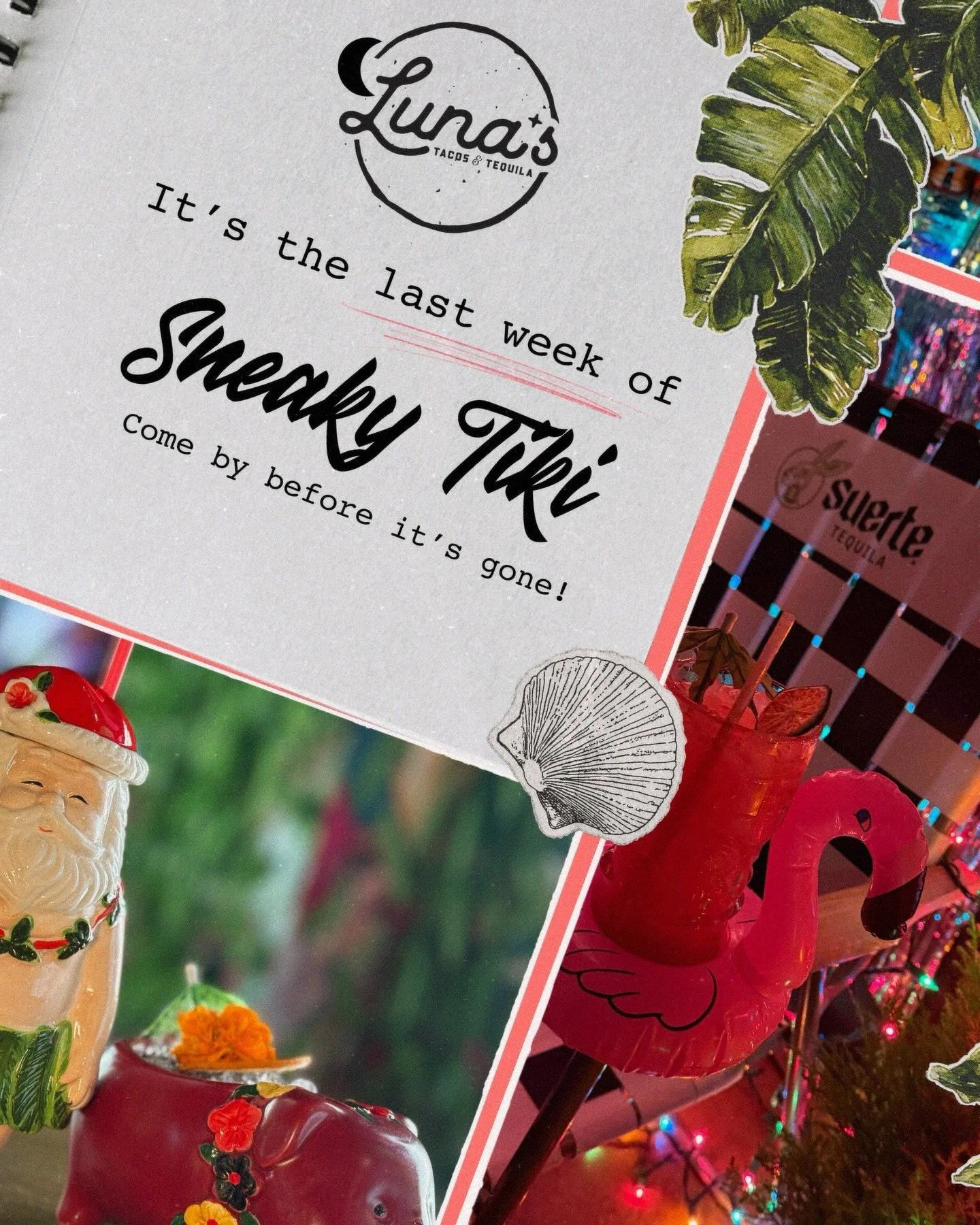 This is your last chance to visit the Sneaky Tiki at Luna&rsquo;s! Come upstairs and experience tropical vibes, limited-time bites, and tasty tiki drinks 🦩🍹🌺 The Tiki&rsquo;s official last day is Sunday, January 25th!