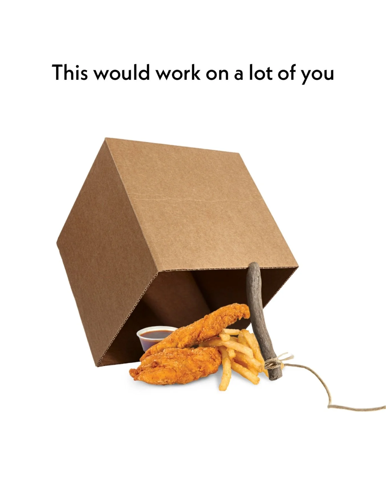 Pspspsps come to Sammies pspsps 😌