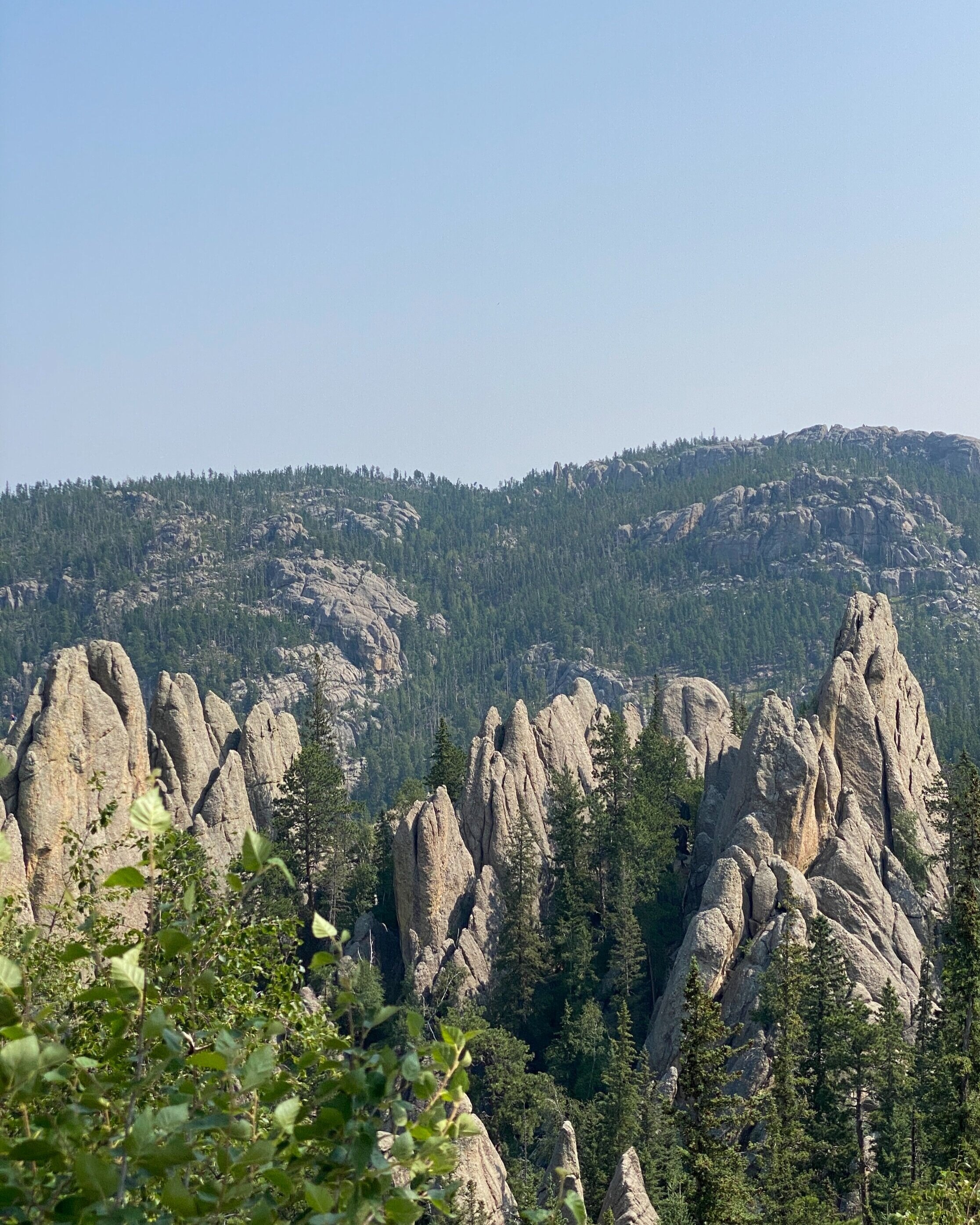 Custer State Park