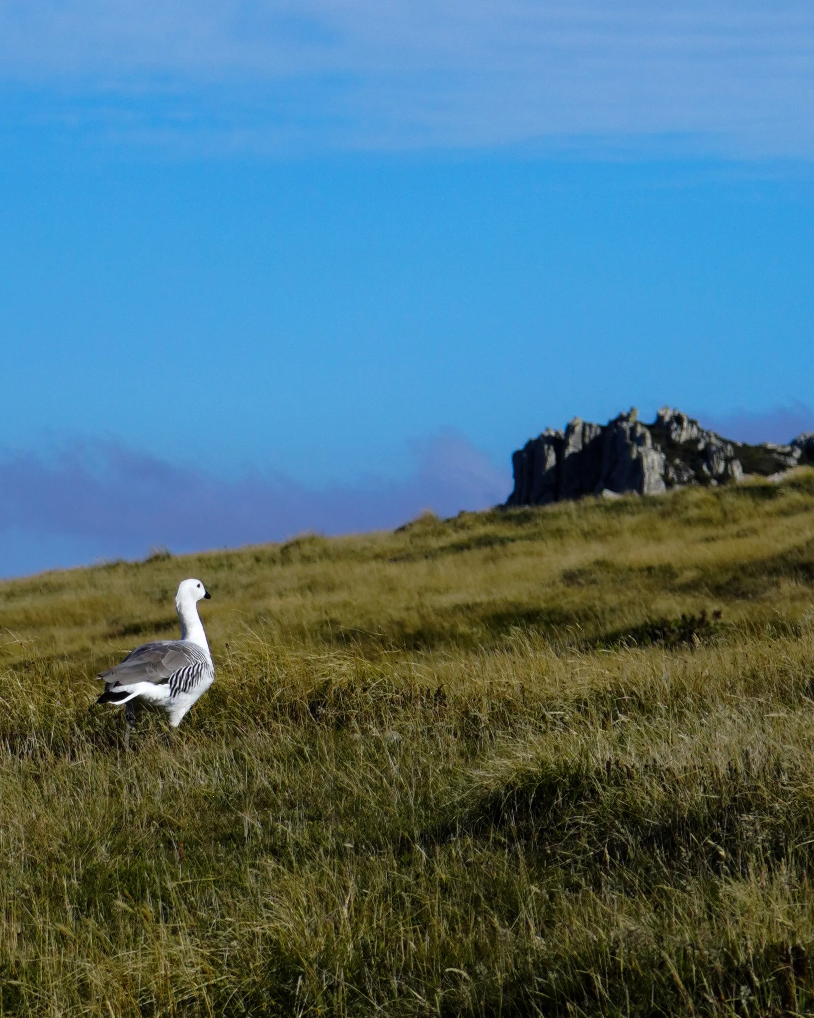 IMG06319-2.jpg