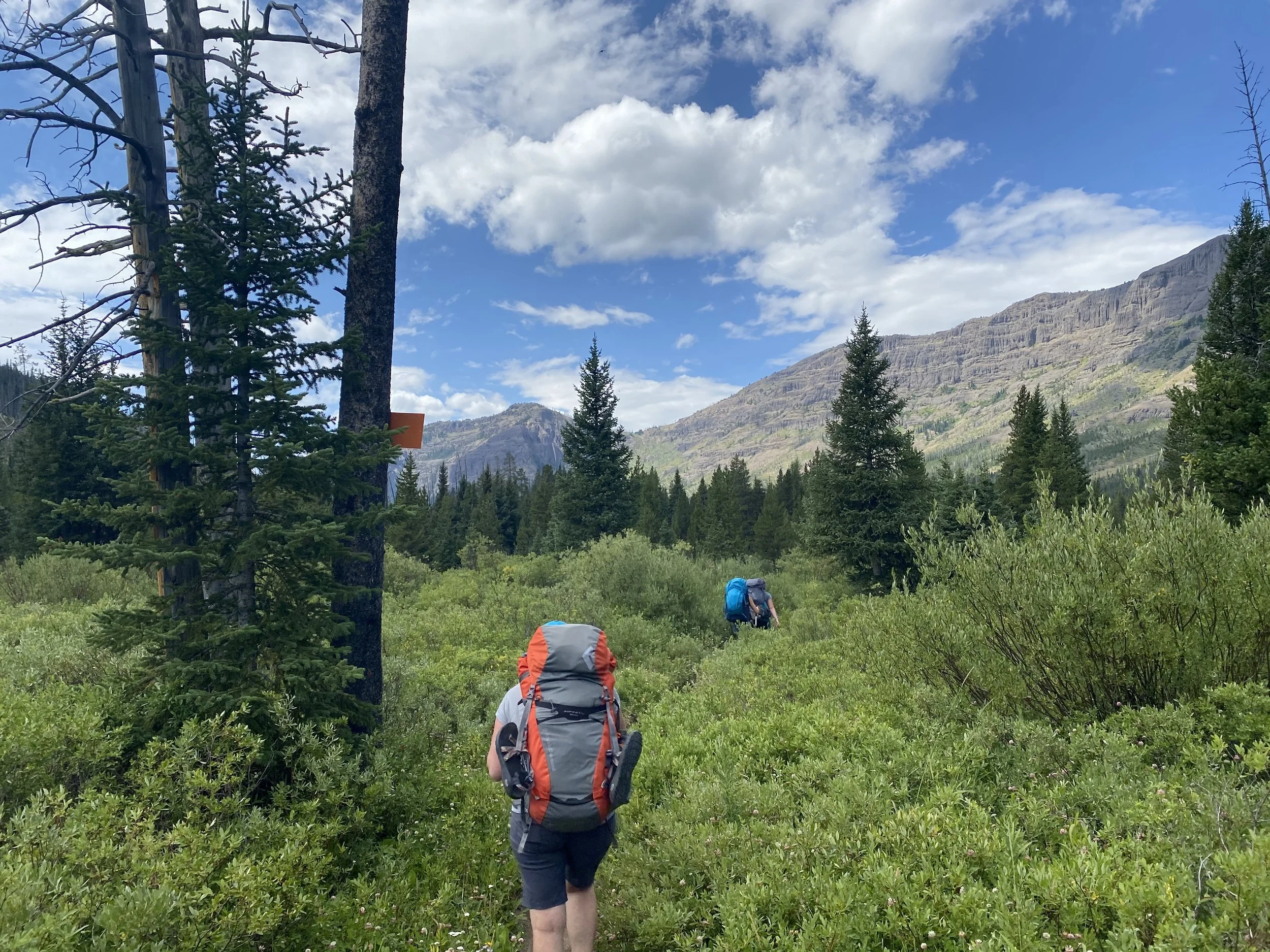 Trip Notes: Your First Backpacking Trip - Gear, Grizzlies, and 3 Local Routes Thursday, March 19th | 6:00 PM 