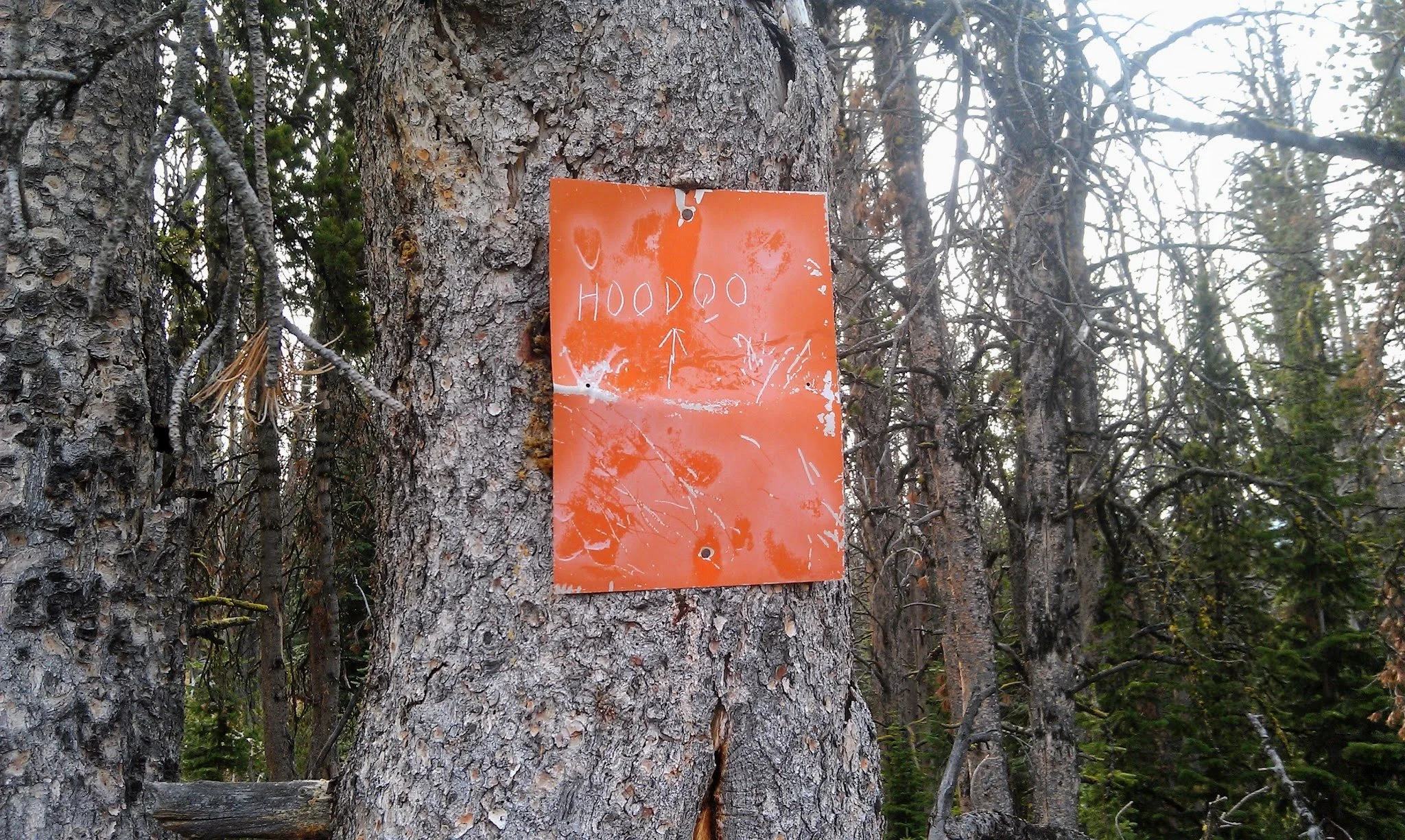 Backpacking Yellowstone's Hoodoo Basin