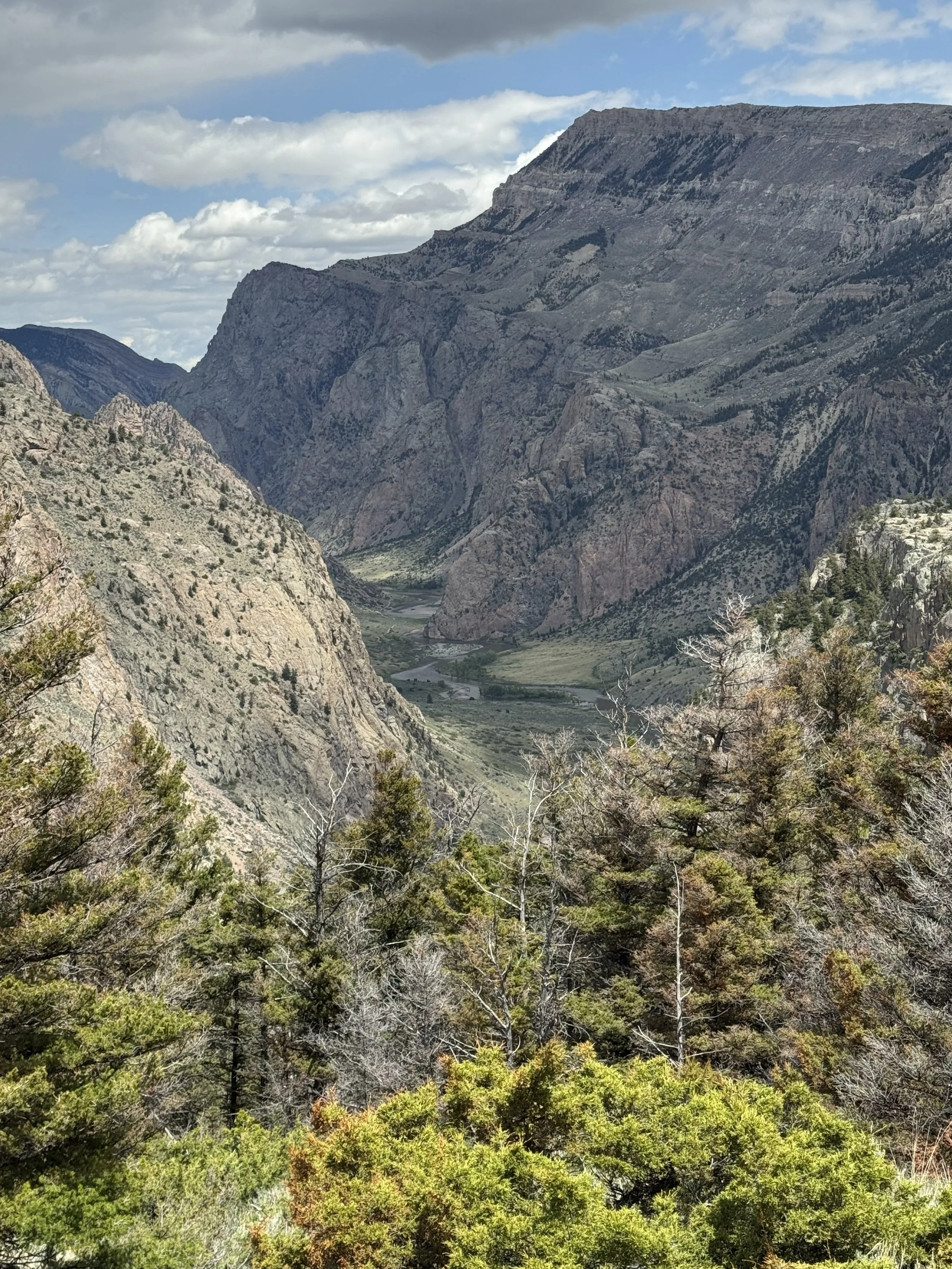 Clarks Fork Canyon From Lower Dead Indian Trail