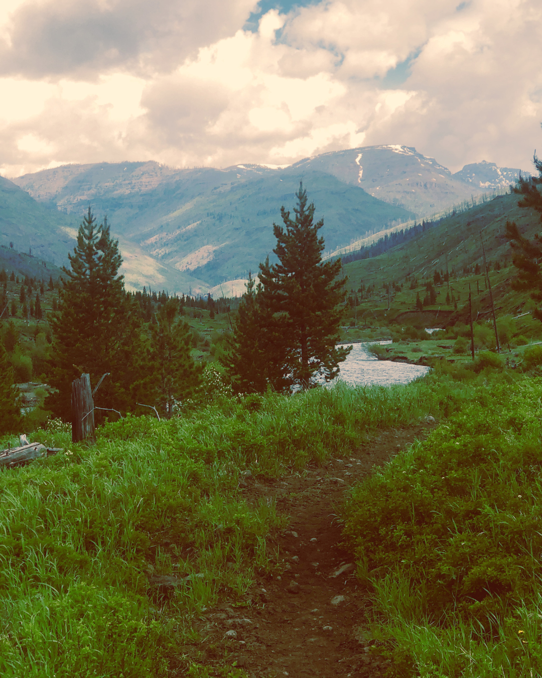 Community Hike Saturday - Pahaska Sunlight 