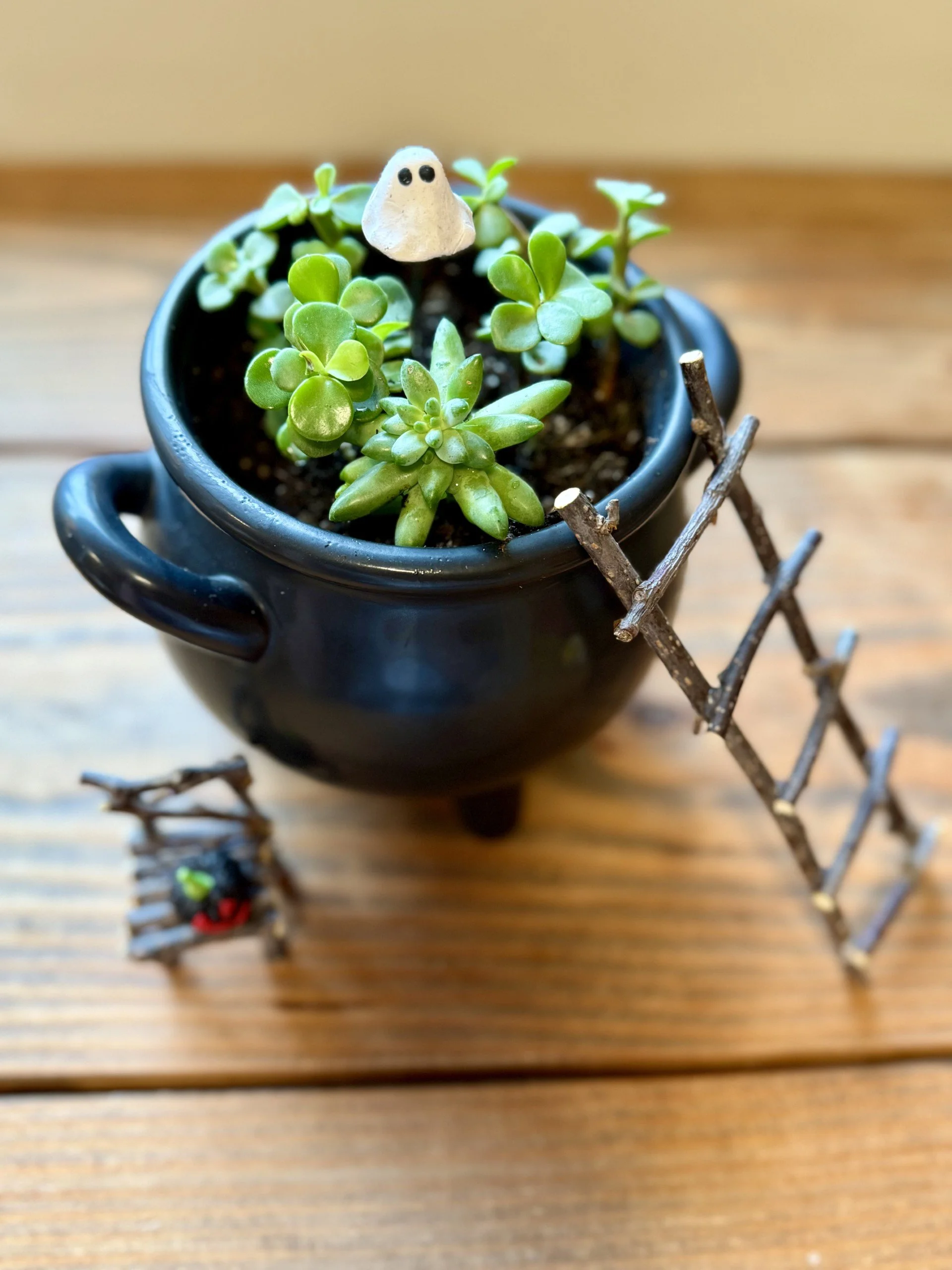 Haunted Cauldrons