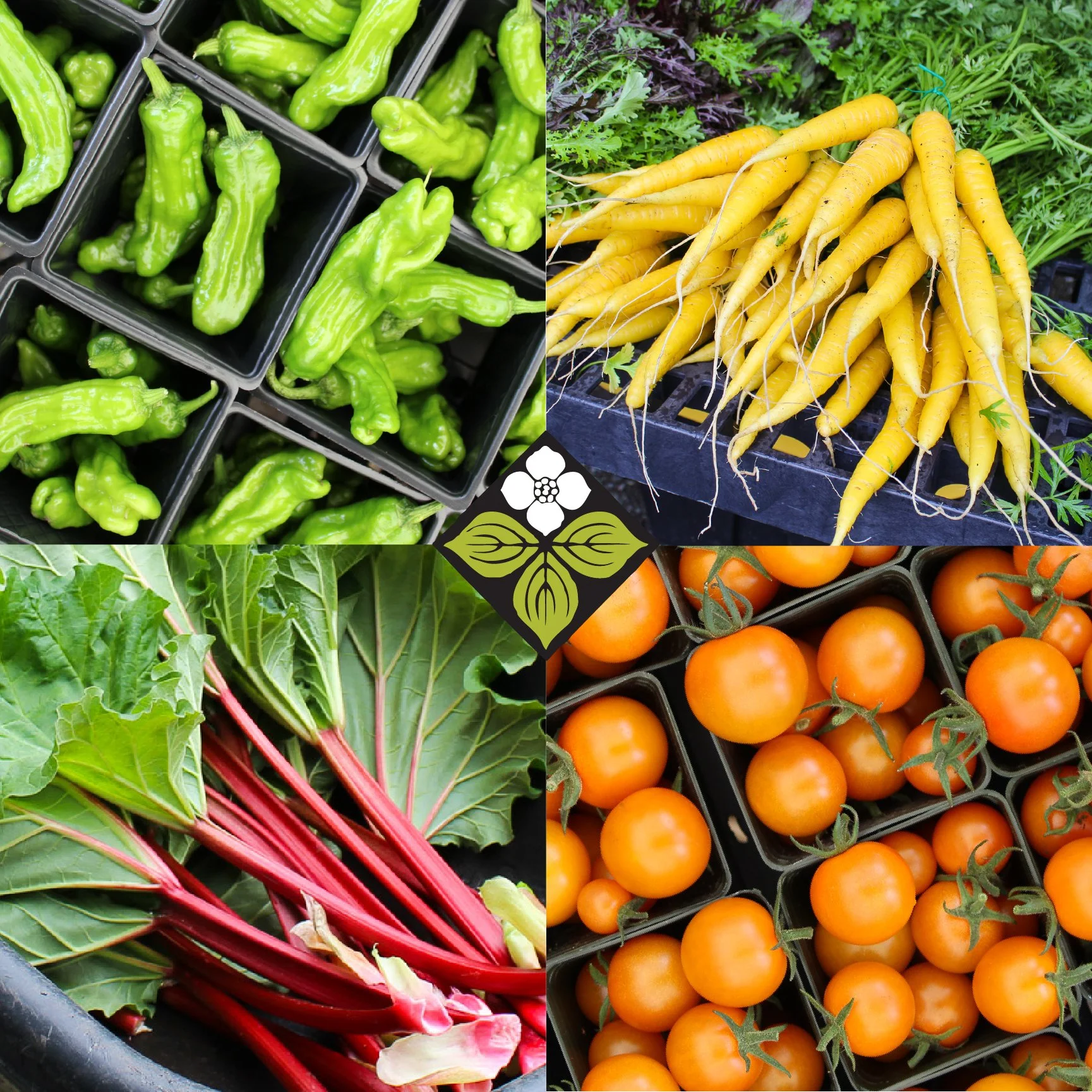 Garden Planning for Success- Feb 2nd and 9th