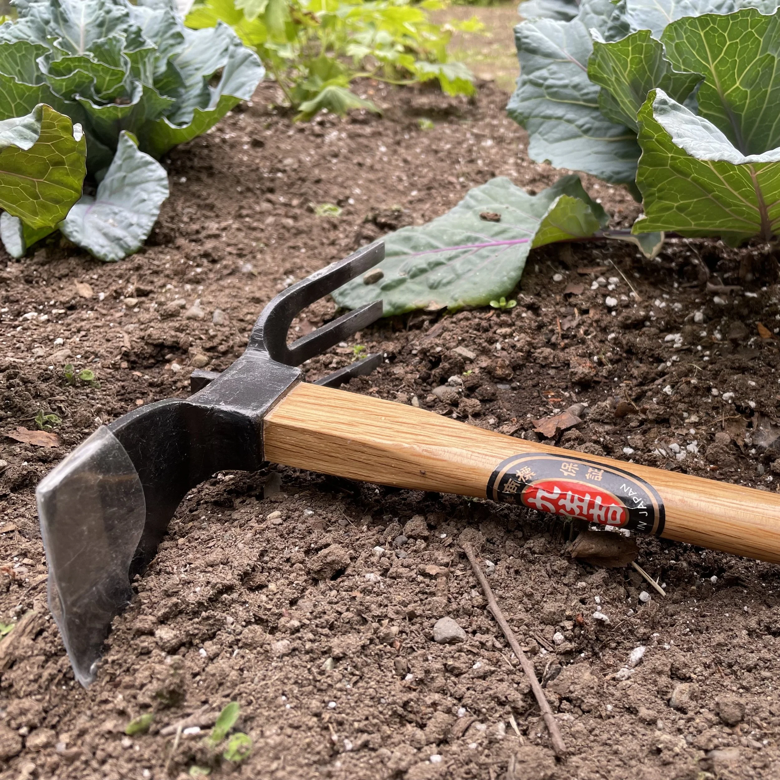 Tool Sharpening Workshop