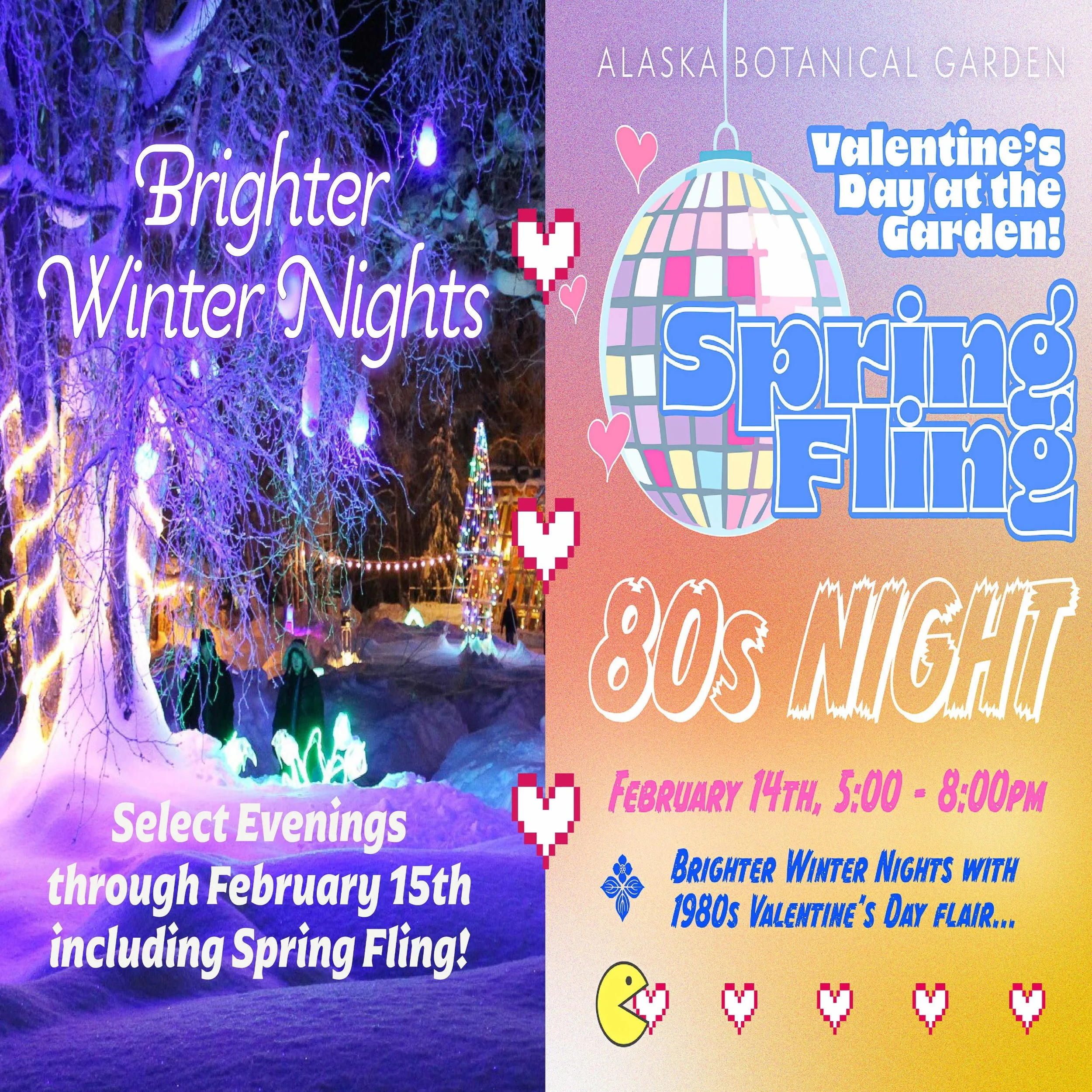 Brighter Winter Nights