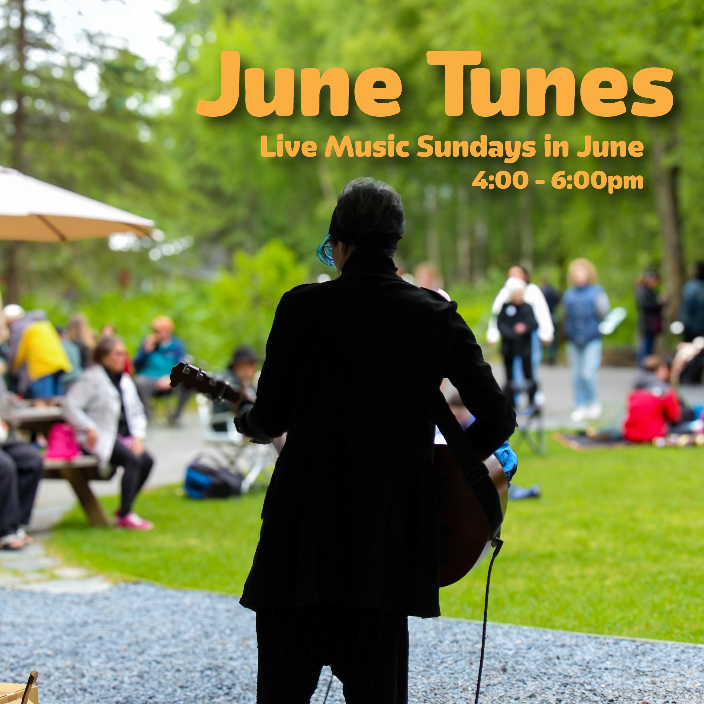 Picnic Concerts in the Garden
