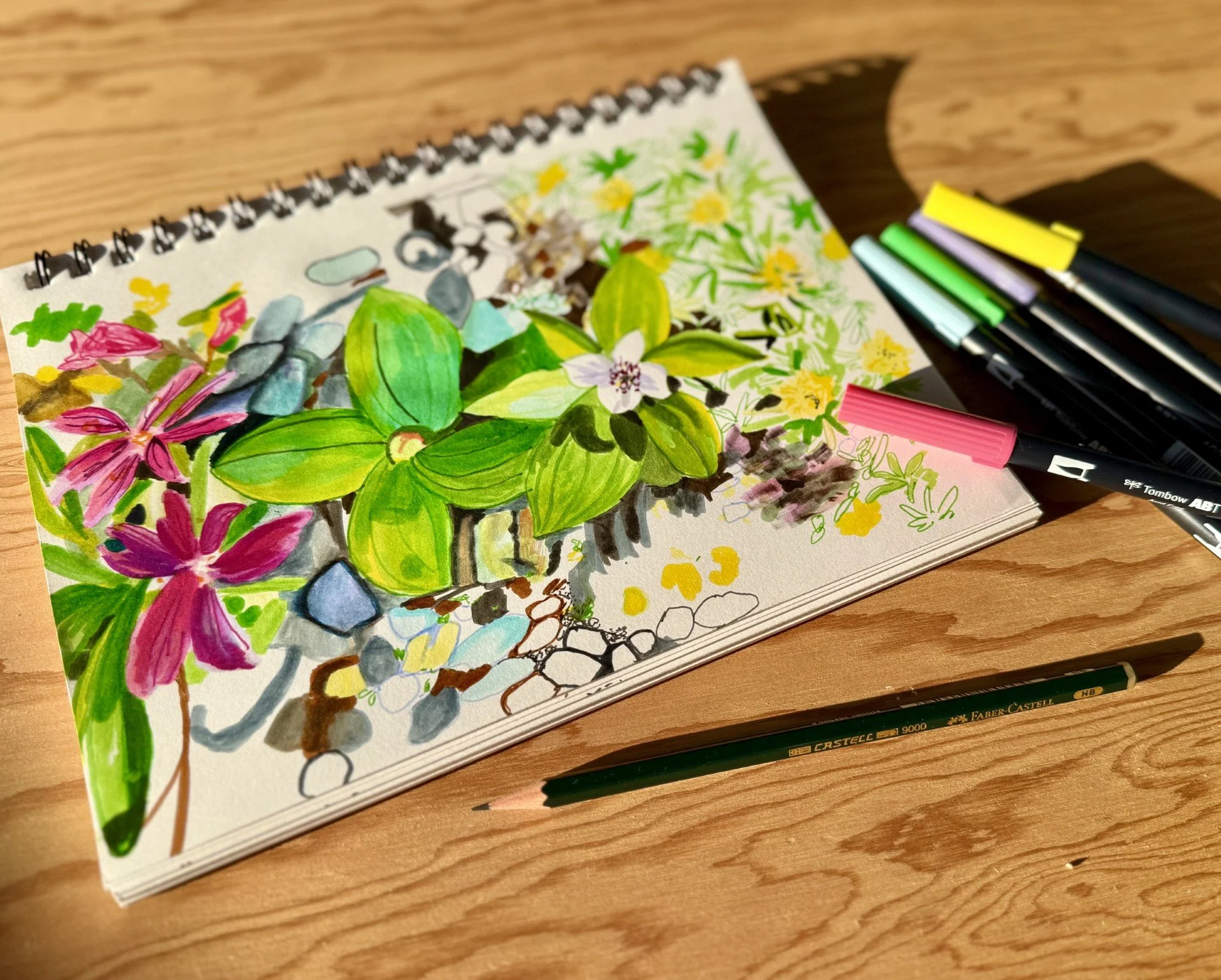 Ink Drawing Alpine and Subalpine Wildflowers