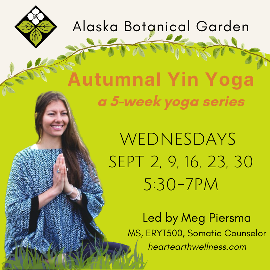 Autumnal Yin Yoga 5-week Series