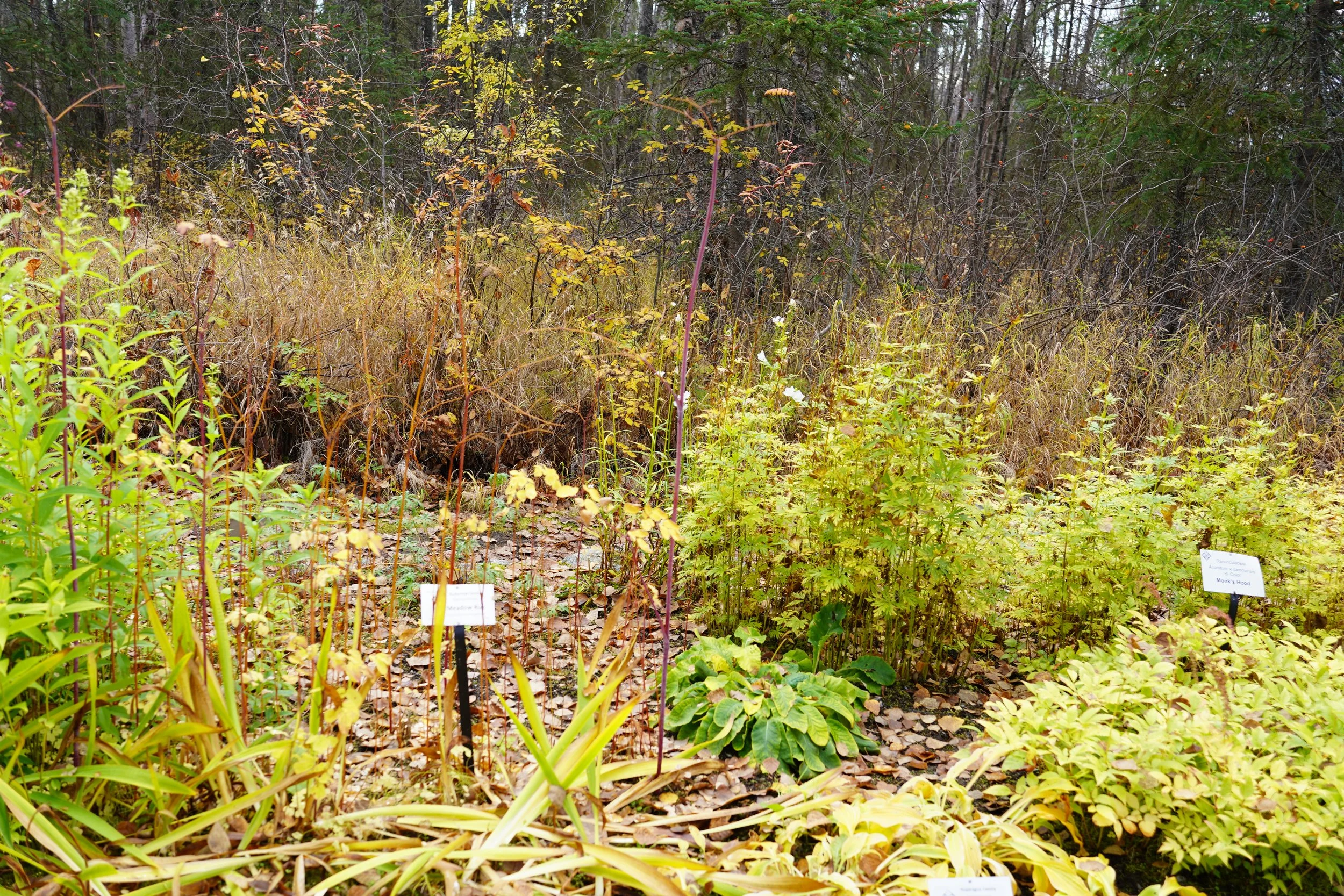 Winterizing Your Garden