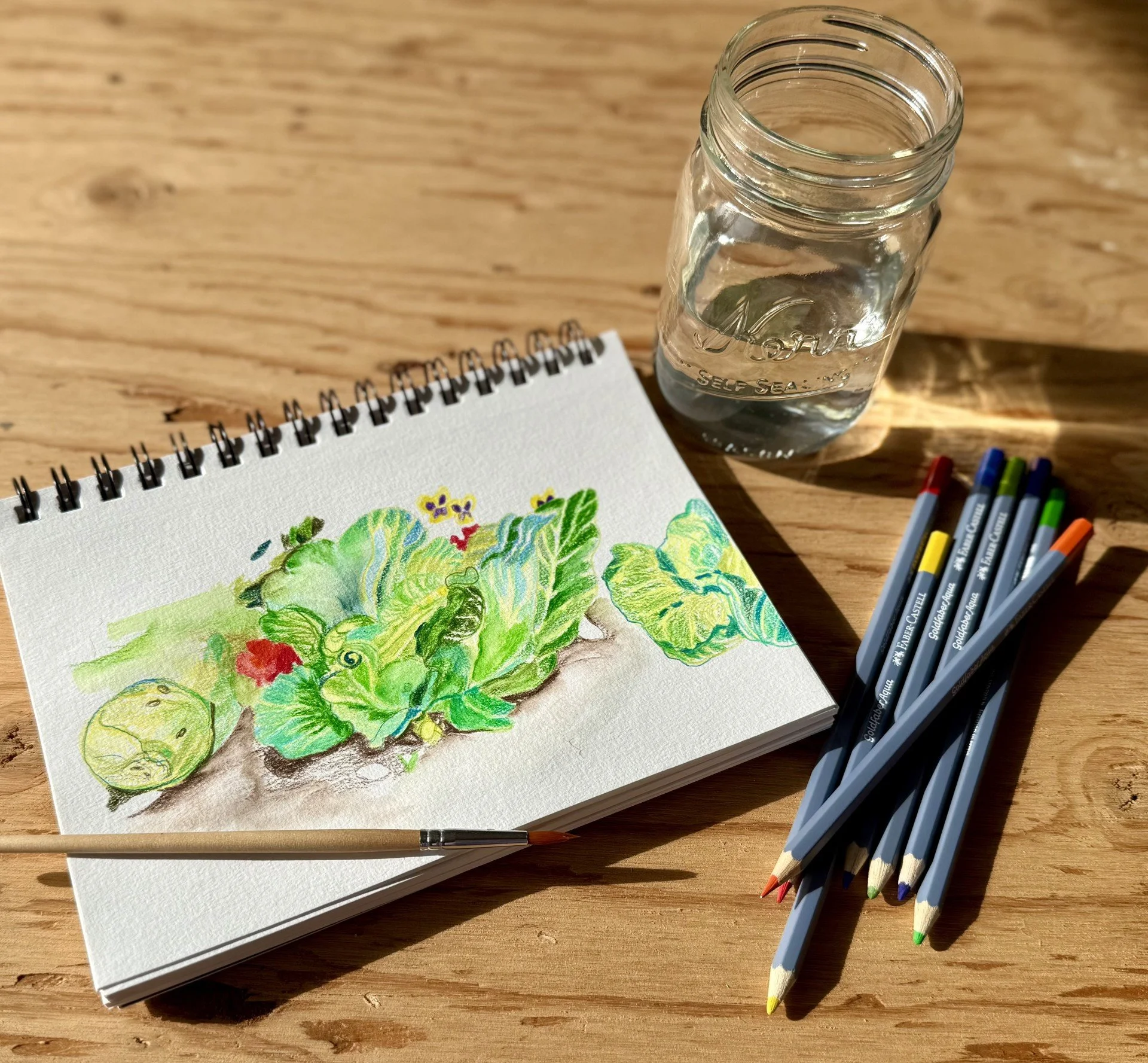 Watercolor Pencil