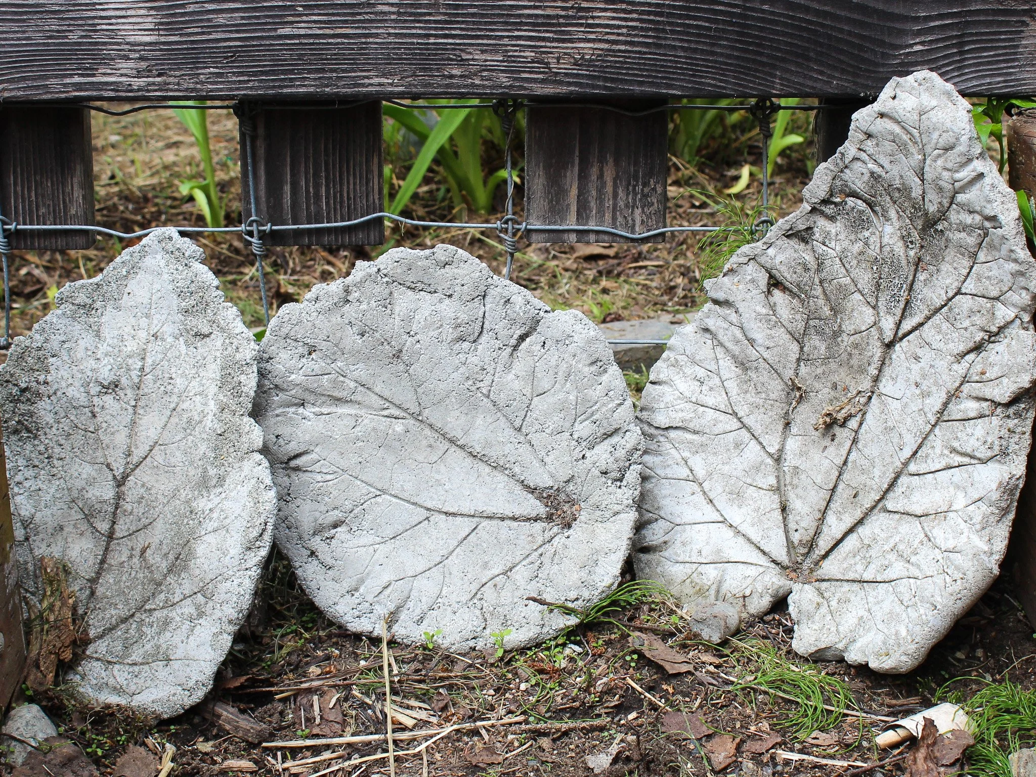 Concrete Leaf Casts