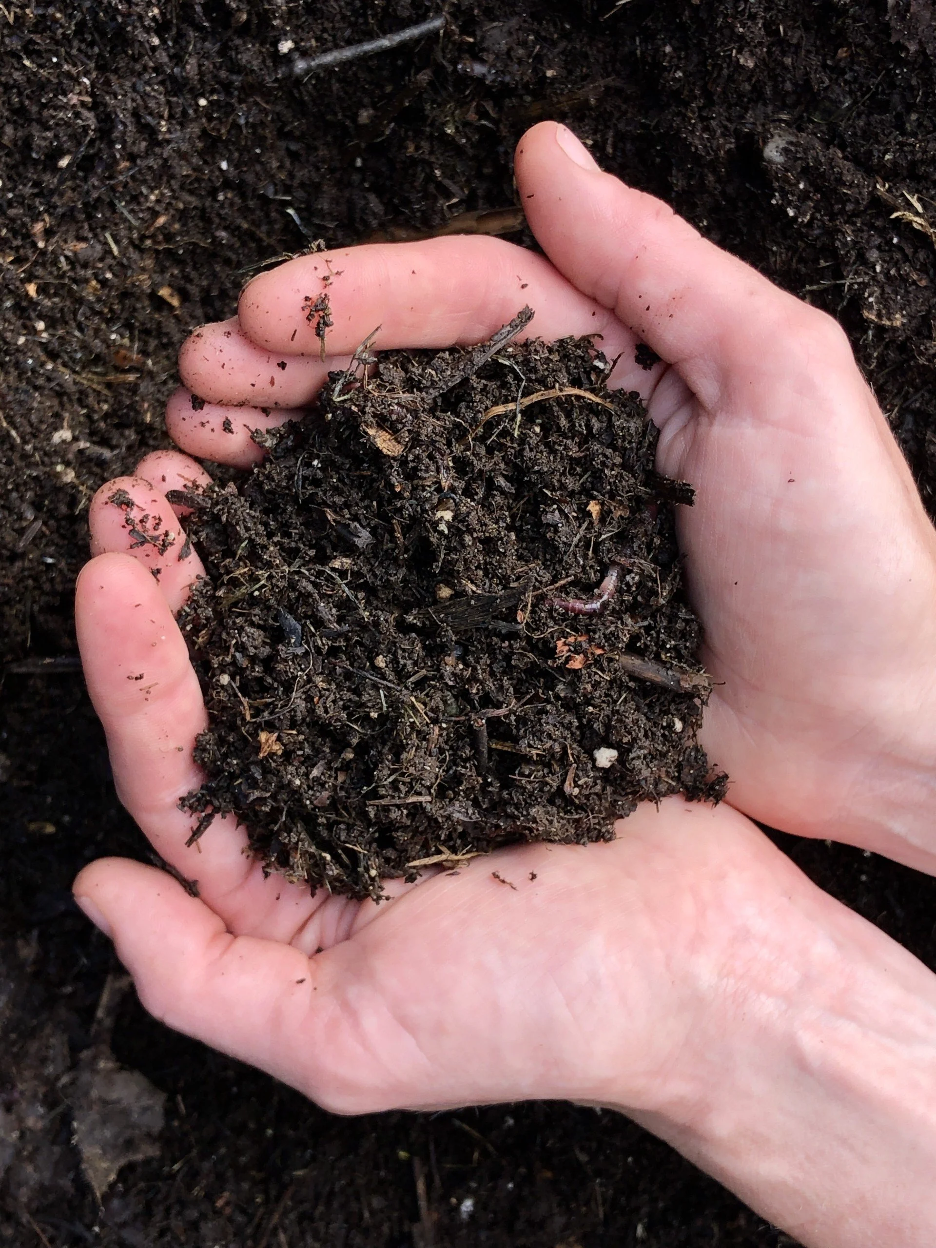 Hot Composting