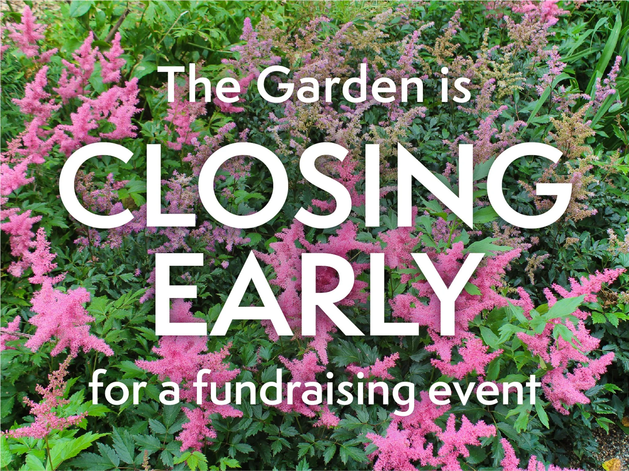 Closing early at 4:00pm