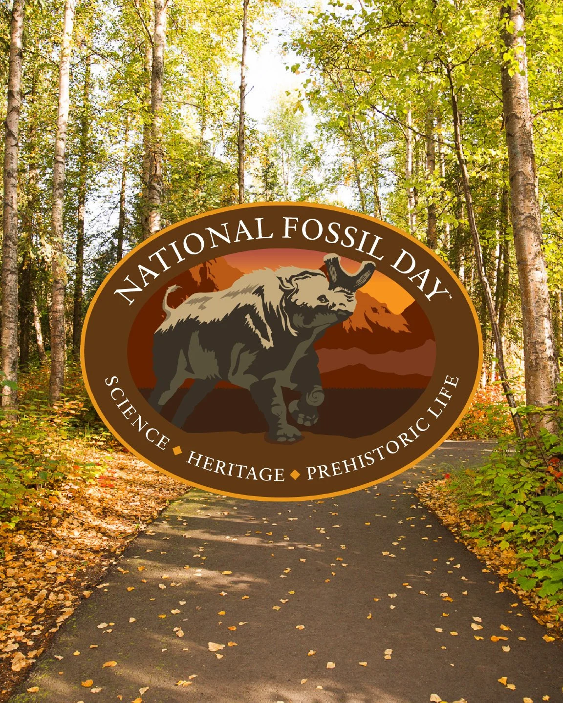 National Fossil Day
