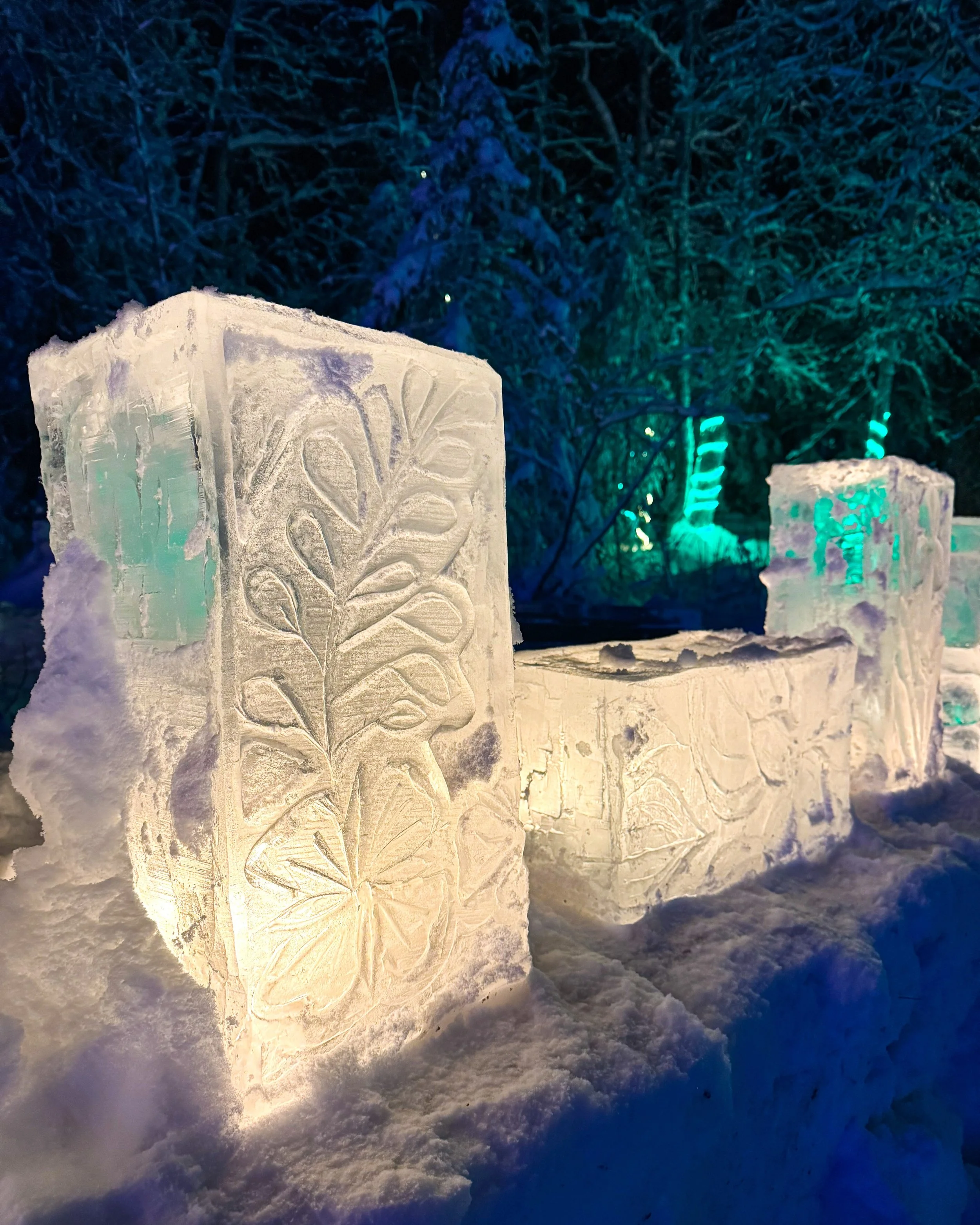 🥈 "AK Wildflowers" by Jodi Kennedy & Shari Looney