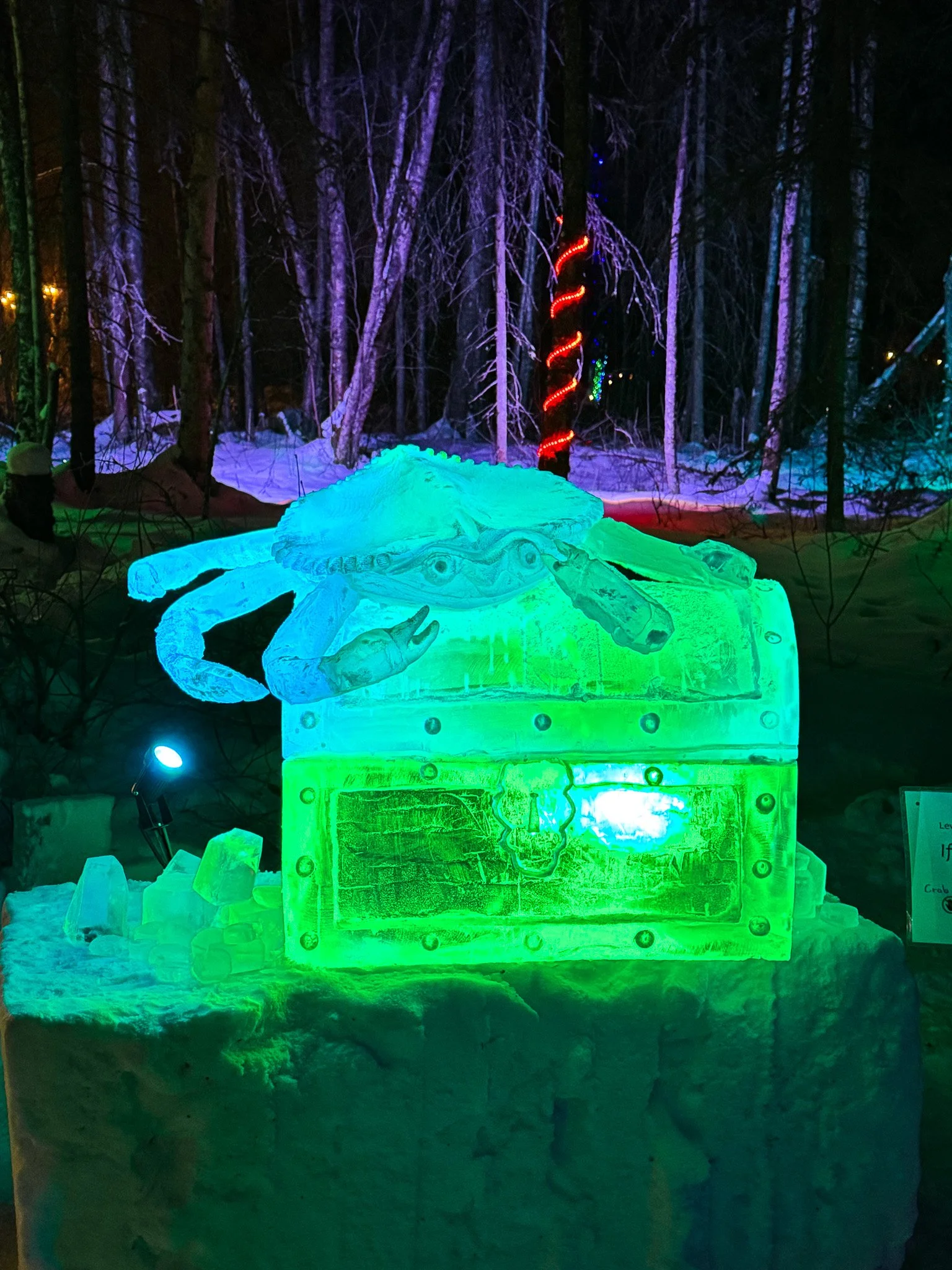 🥈 "If you dare!" by Lewmor Studio