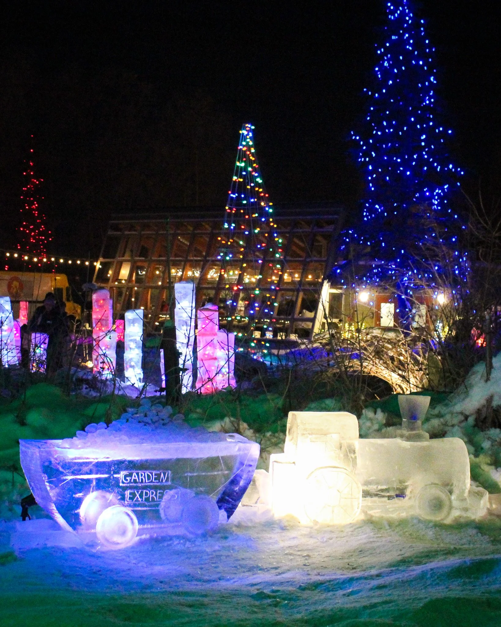 🥉 "Garden Express" by Lynsey Slavonic