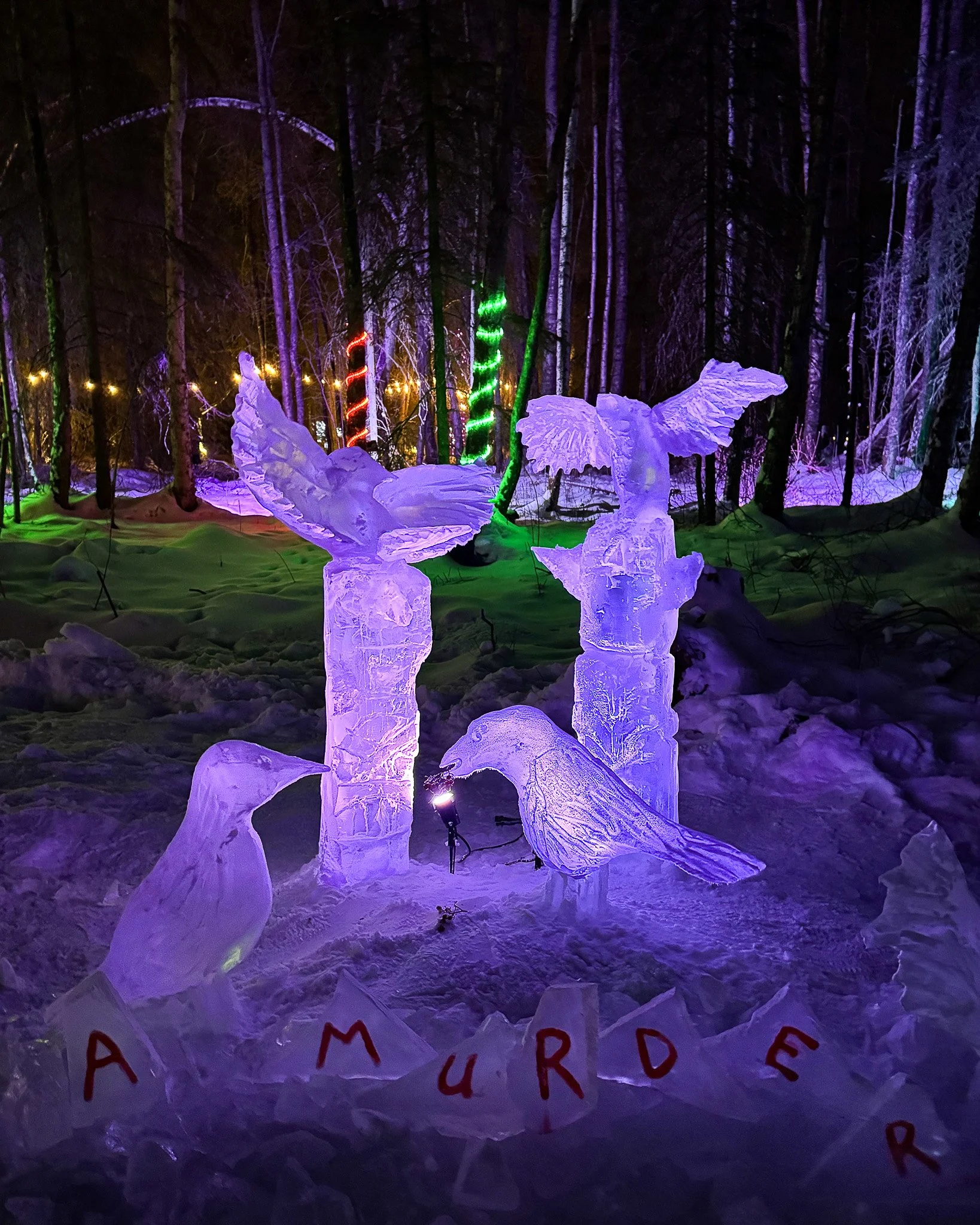 🥇 "Murder..." by team Jansma Shumar