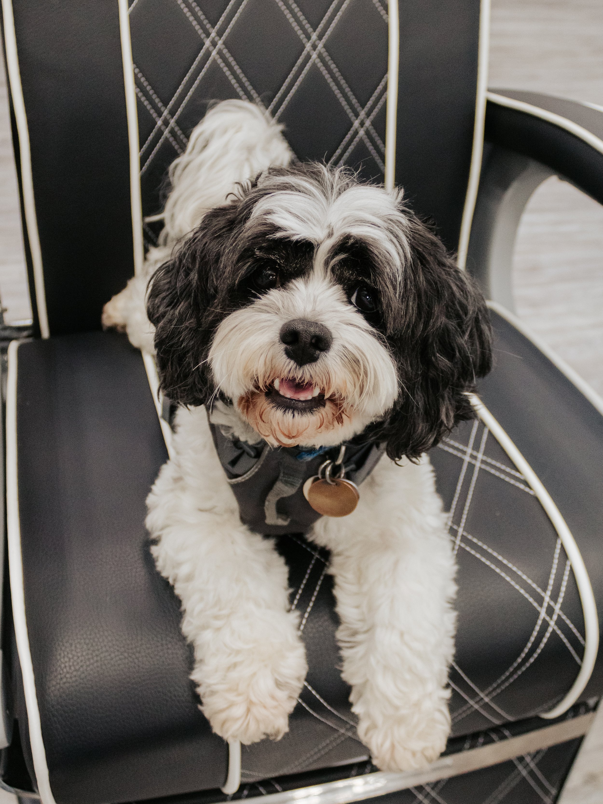 Charlie+Dolly-6.jpg