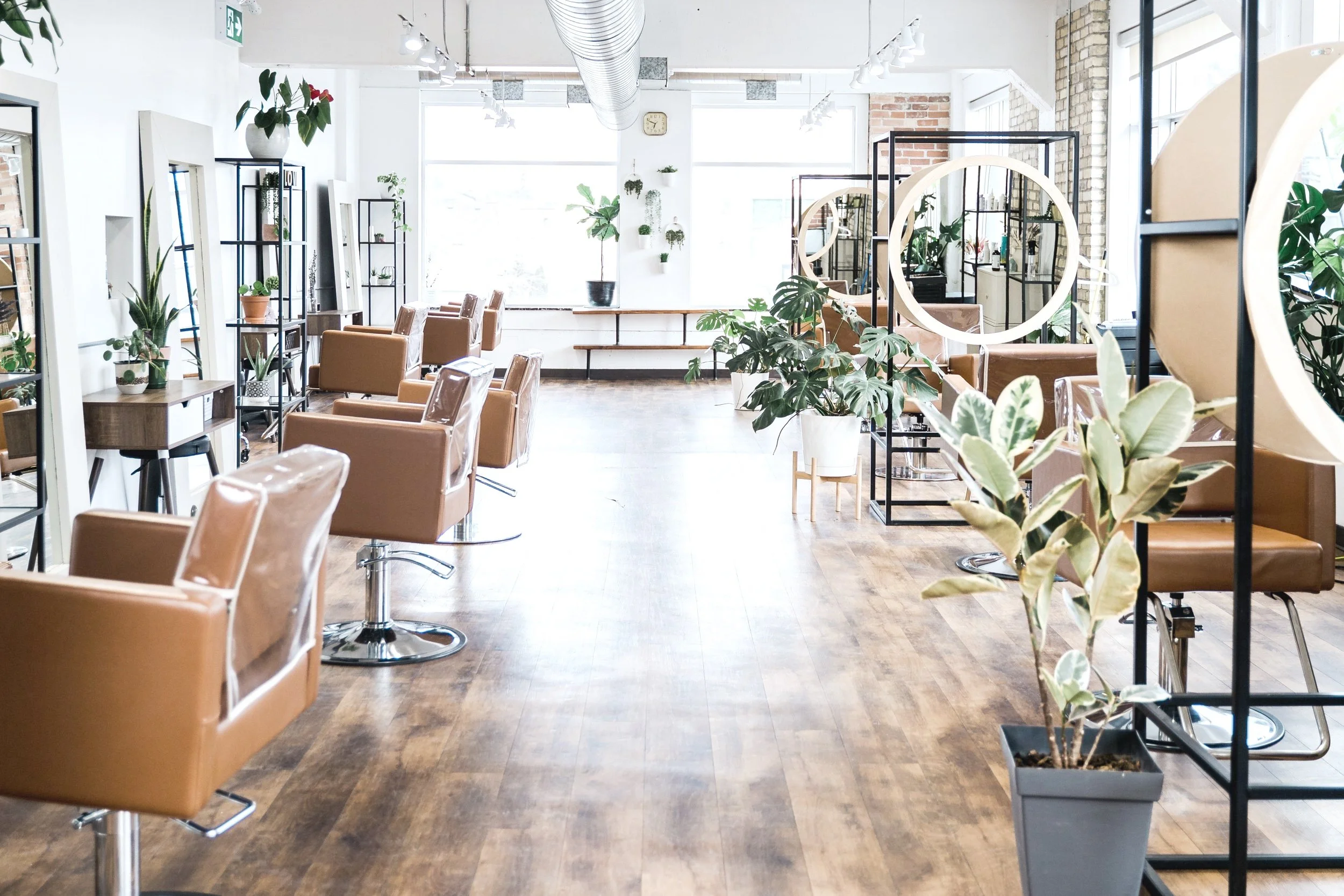 Windsor Ontario Hair Salon