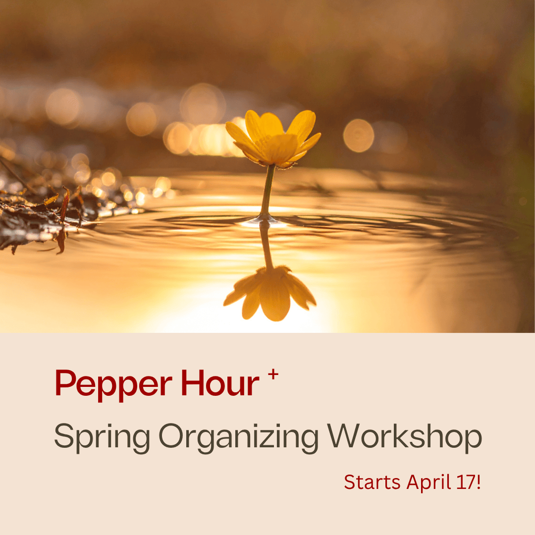 Spring Organizing workshop.png