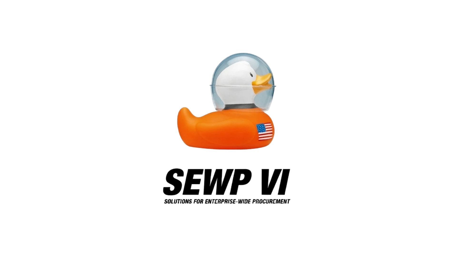 NASA SEWP VI (Catagory C)