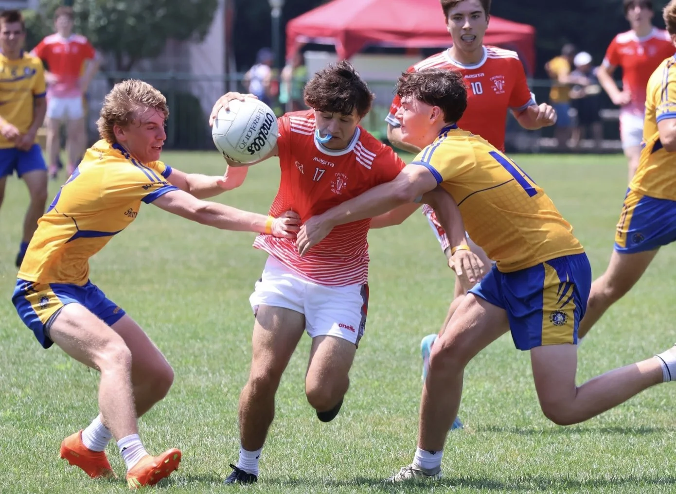 Image 7-22-24 at 4.09 PM.jpeg