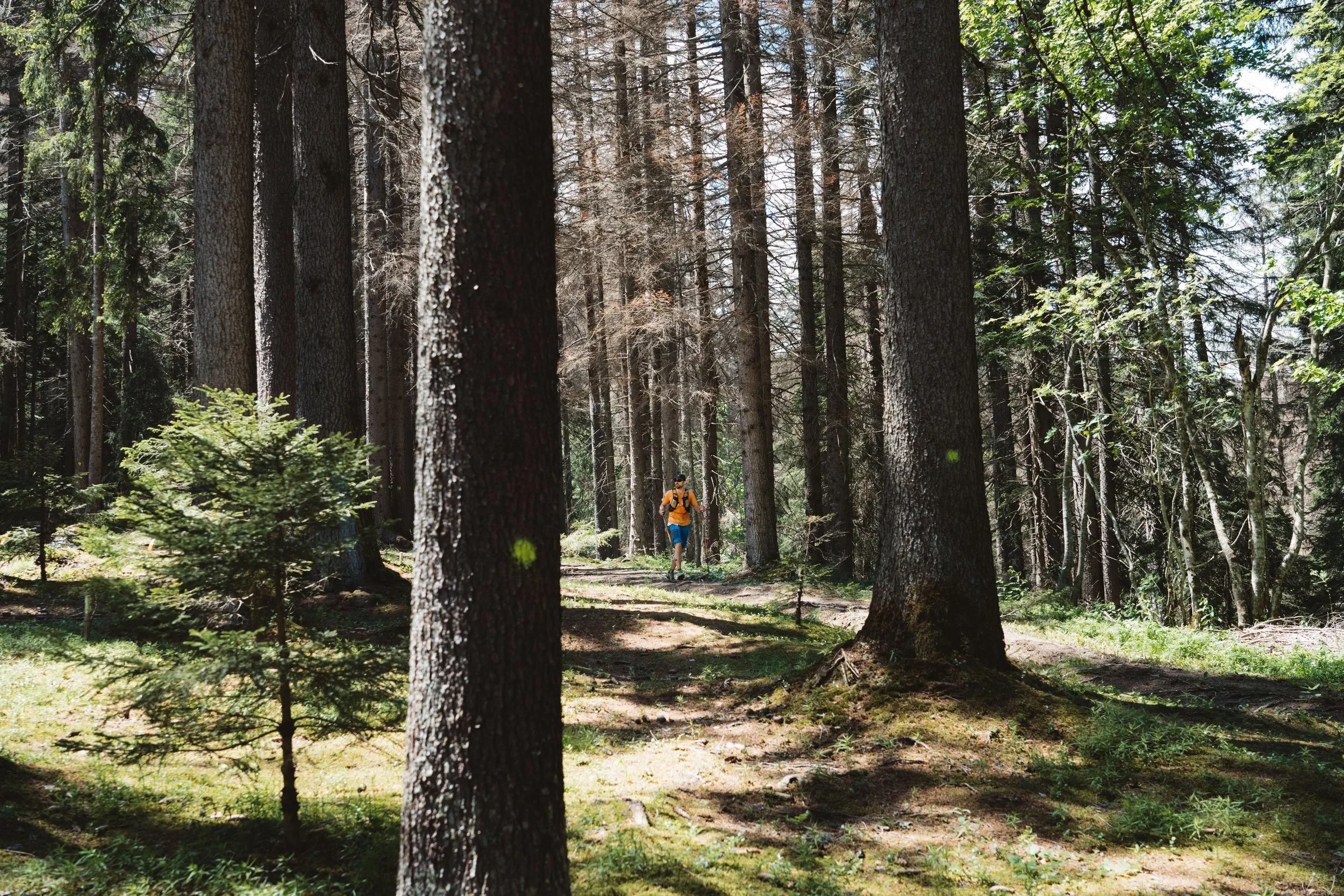 COMBLOUX_COMBLORANE_110623_©PierreGouineau_2166.jpg