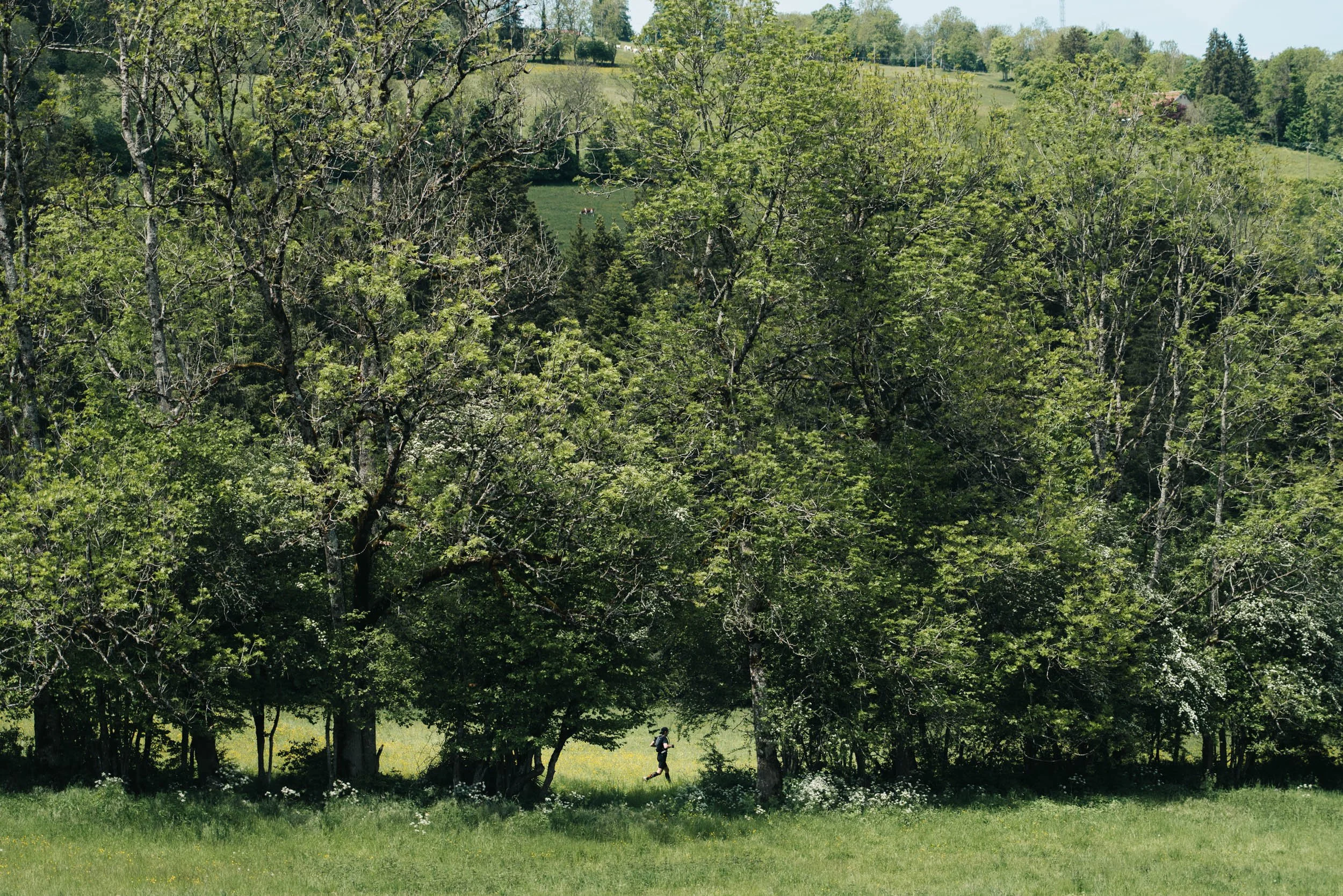 DSA_TRAIL-DU-SAUT-DU-DOUBS_24 mai 2025_©PierreGouineau_1298.jpg