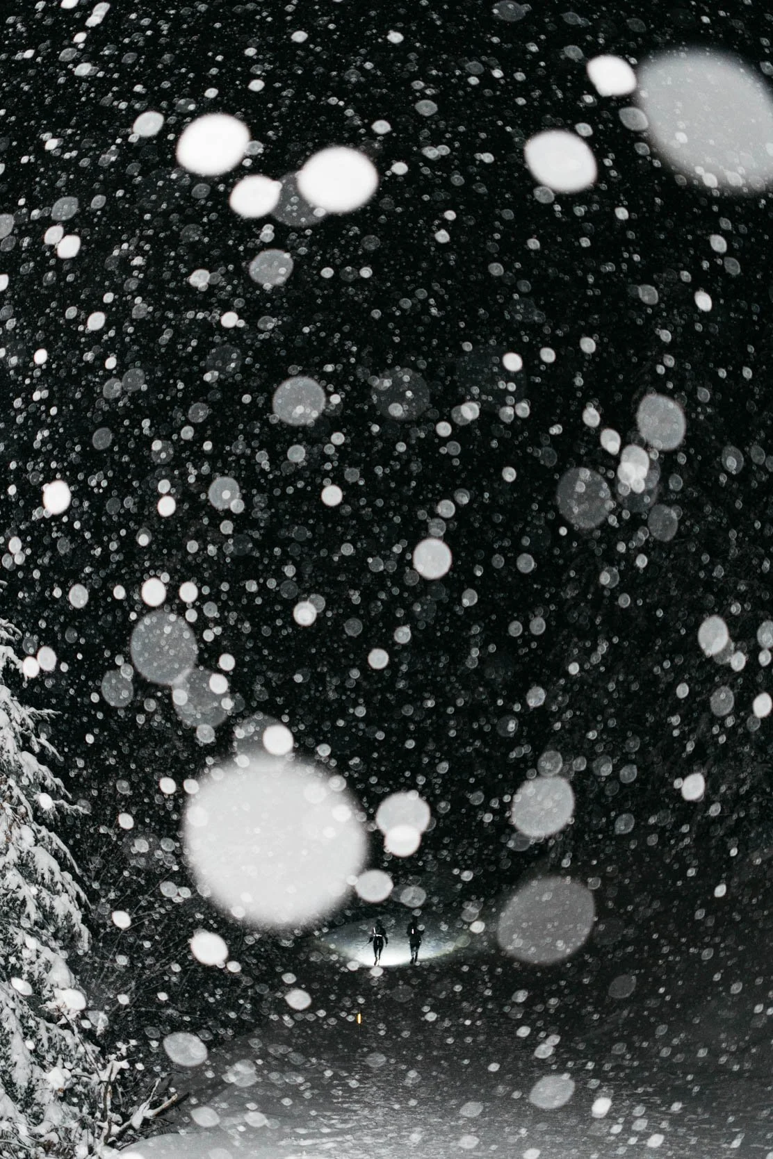 SPORT-PREMIUM_TRAIL-BELIER-BLANC_09 janvier 2026_Photographe-Pierre-Gouineau_0642.jpg