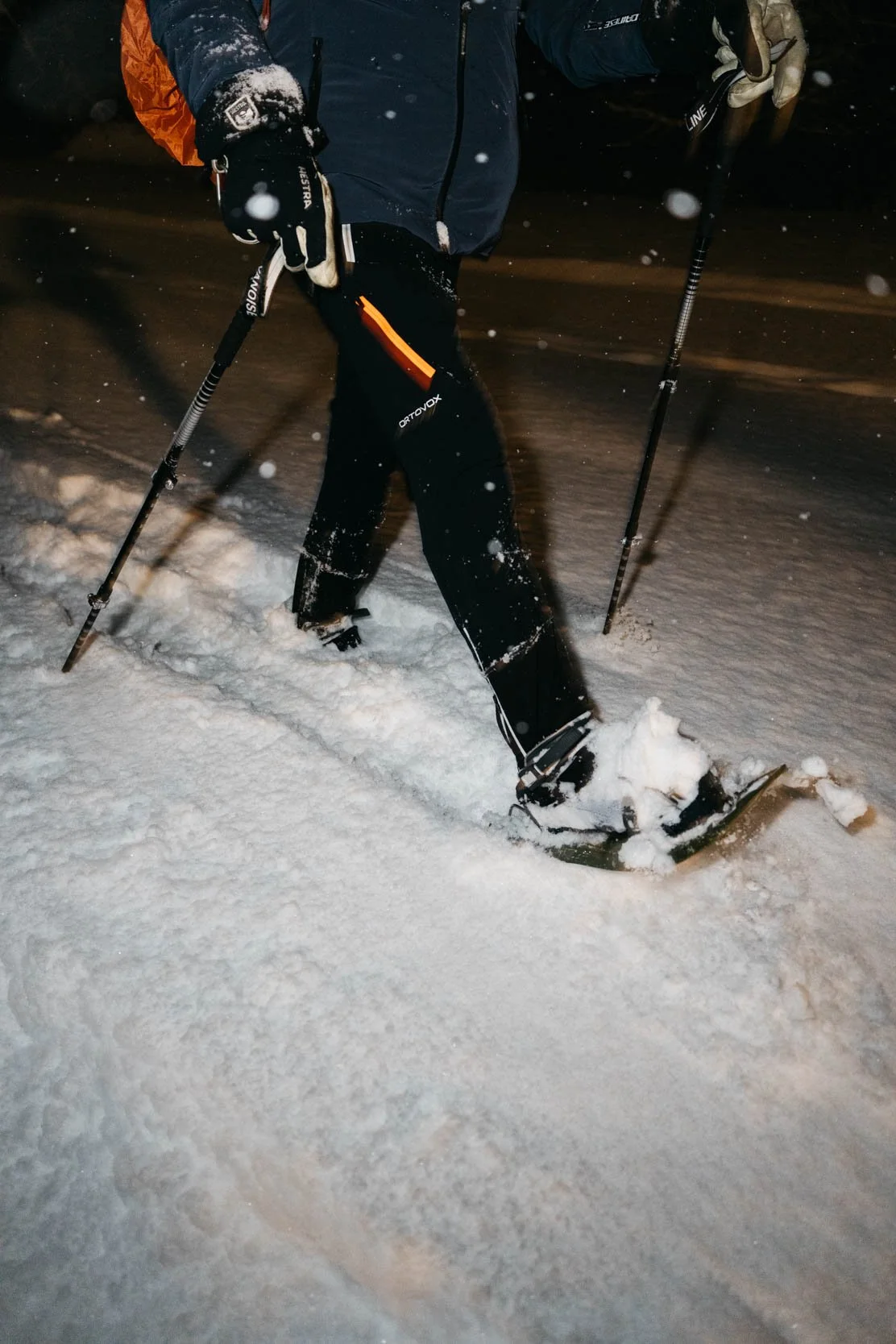 SPORT-PREMIUM_TRAIL-BELIER-BLANC_10 janvier 2026_Photographe-Pierre-Gouineau_0803.jpg