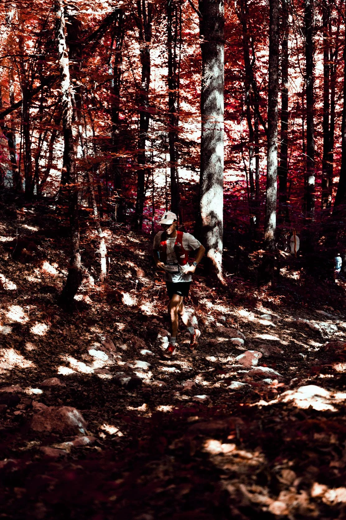 SALOMON_MAXI-RACE_31 mai 2026_©PierreGouineau_0315.jpg