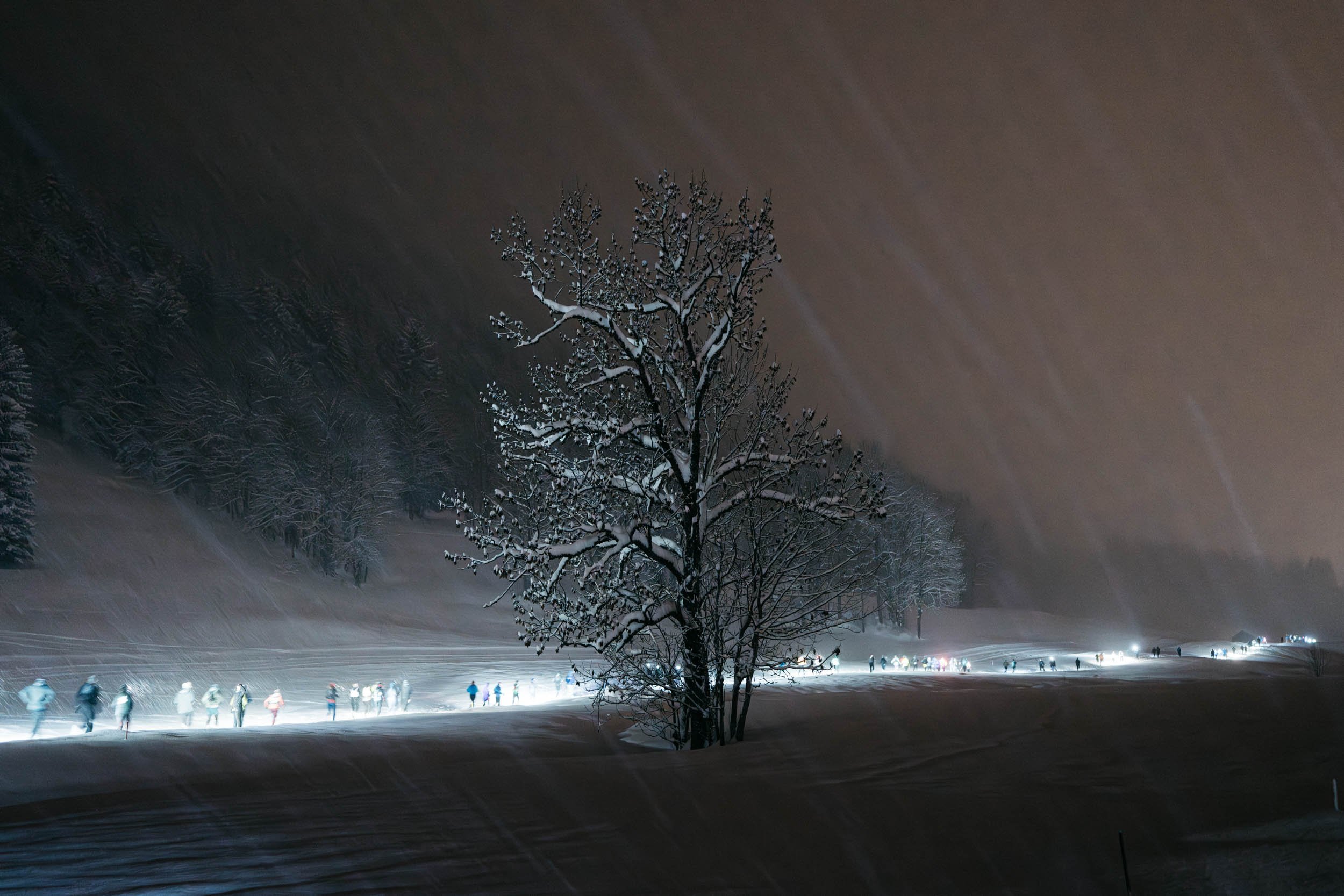 SPORT-PREMIUM_TRAIL-BELIER-BLANC_10 janvier 2026_Photographe-Pierre-Gouineau_0684.jpg