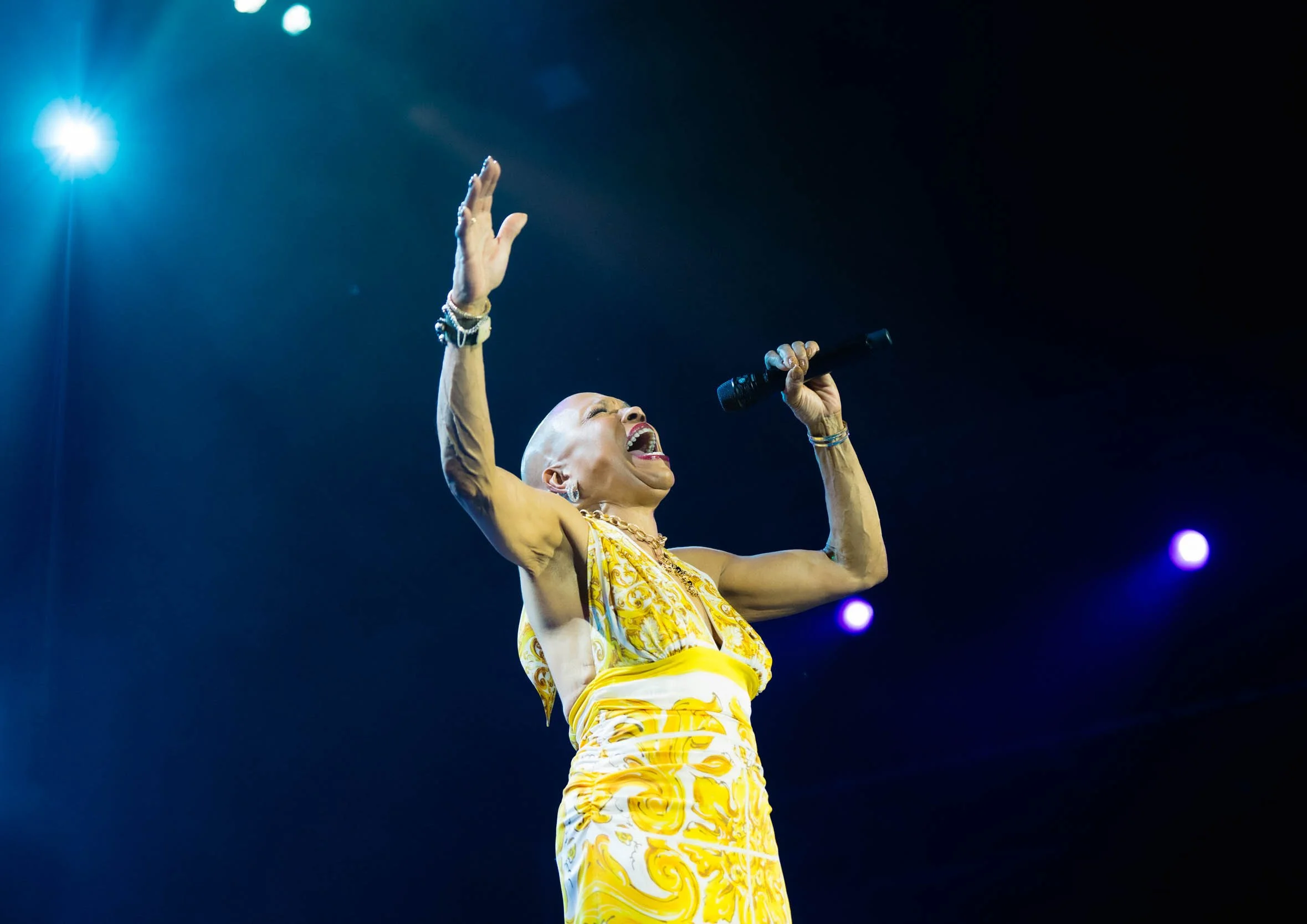 2025-07-01_Dee Dee Bridgewater_©PierreGouineau-1845.jpg
