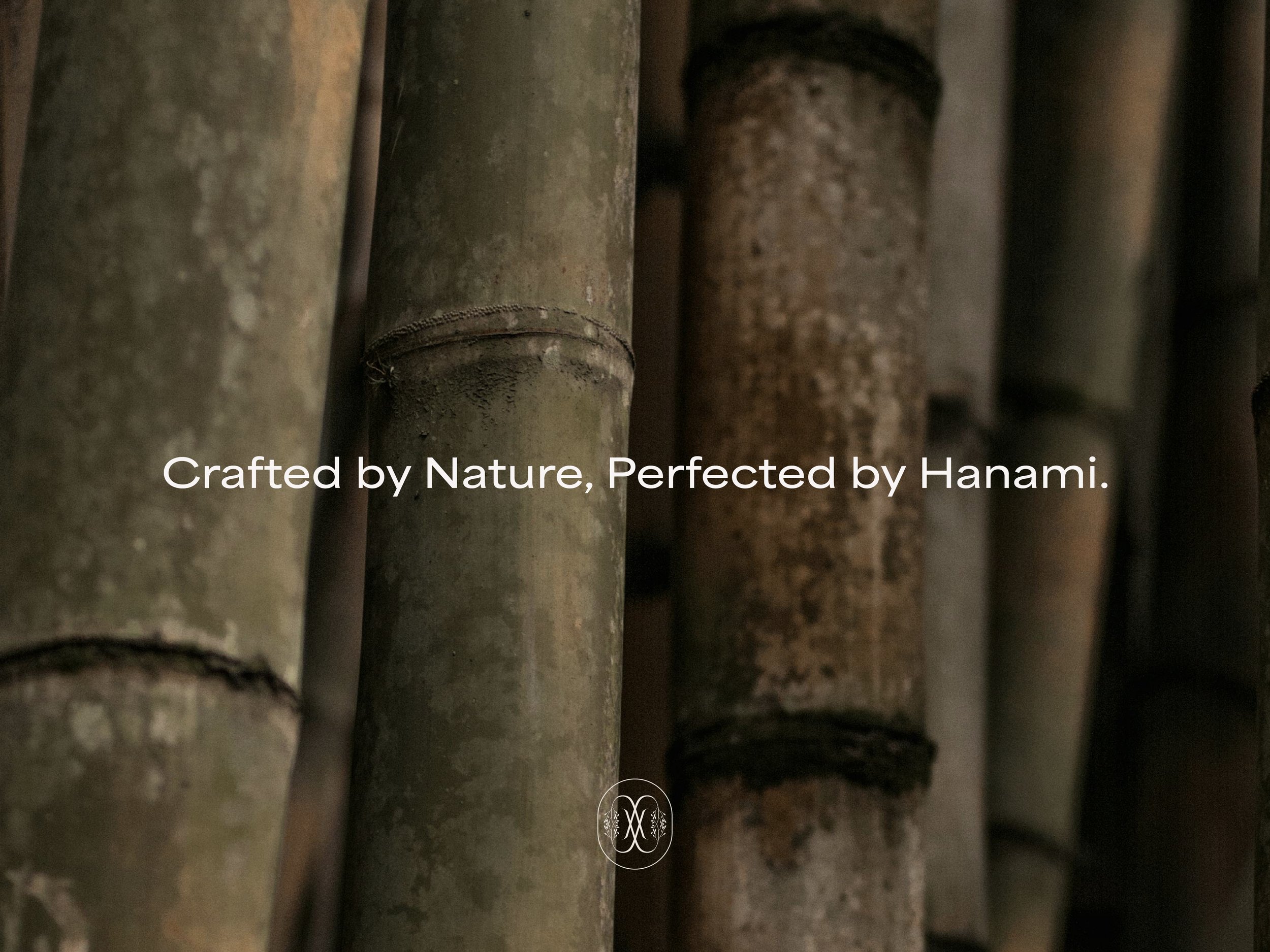 HanamiSkincare-Branding2.jpg