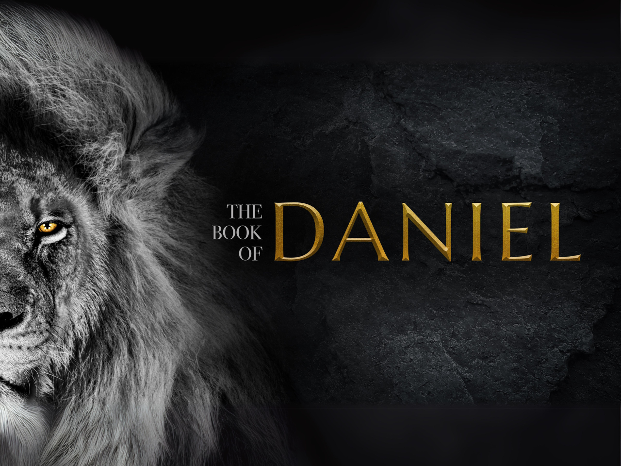The Book of Daniel | Where Does Wisdom Come From - Episode 109 episode artwork